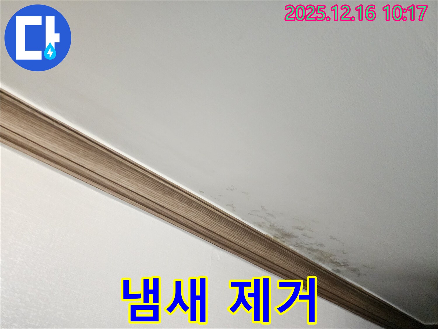 운천리 곰팡이 천장 - 곰팡이 냄새, 이제 안녕!