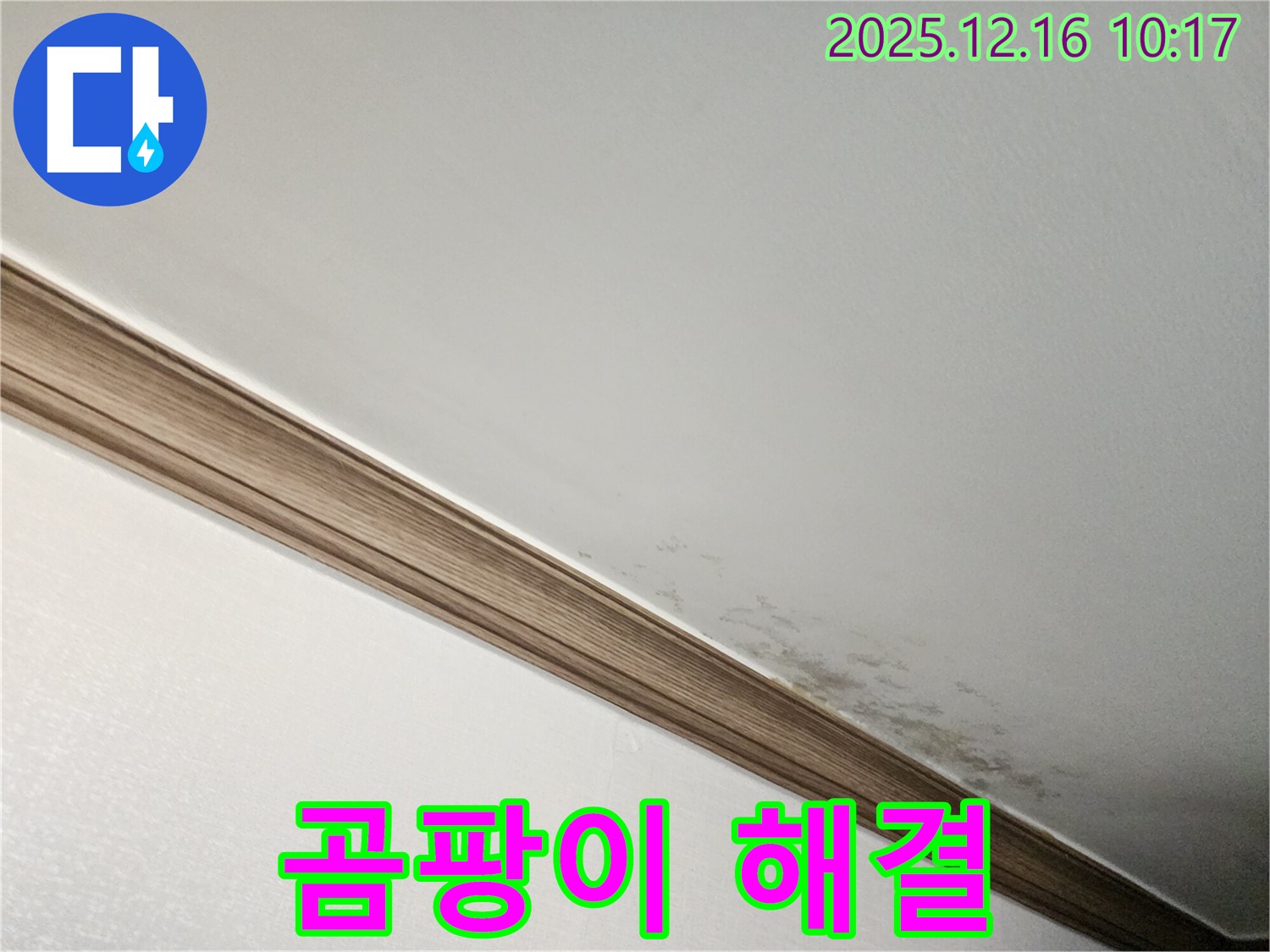 운천리 곰팡이 핀 천장 해결 - 누수 전문가의 완벽한 해결 과정