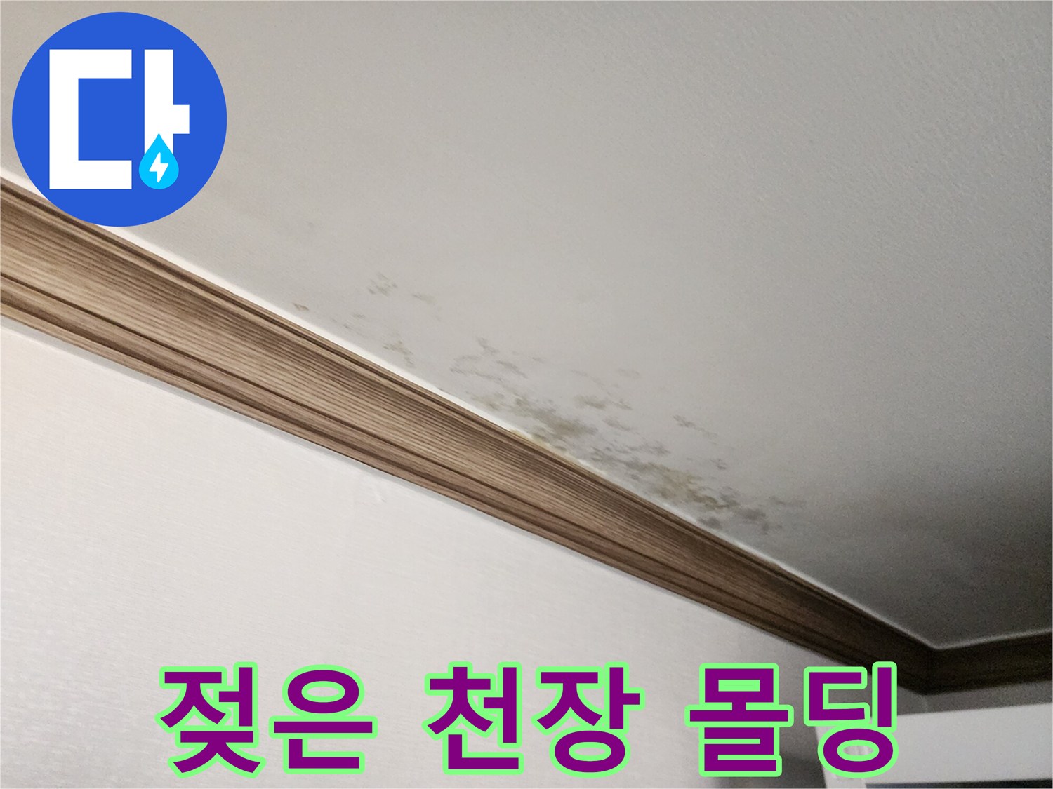 천장-몰딩-경계에-스며든-누수-흔적과-얼룩