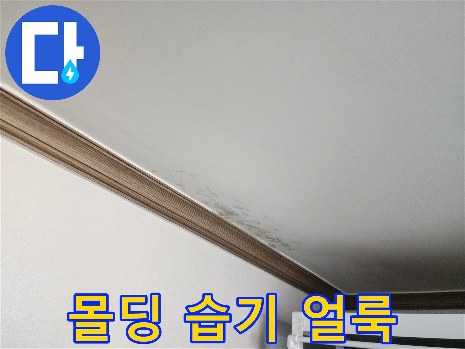 천장 몰딩 경계의 젖은 벽지 상태