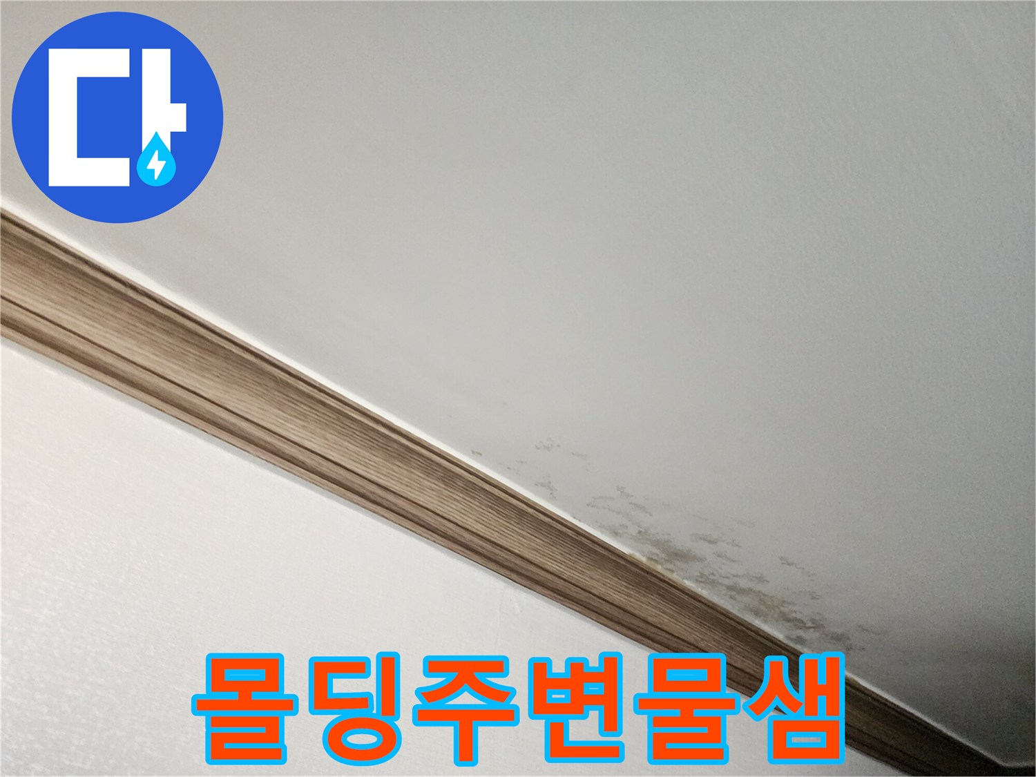 천장 몰딩 주변의 젖은 벽지와 곰팡이 번짐