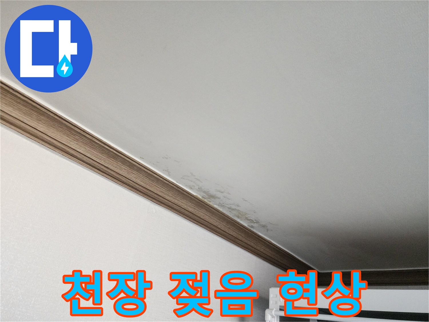 천장-벽지-가장자리의-축축한-물기-흔적