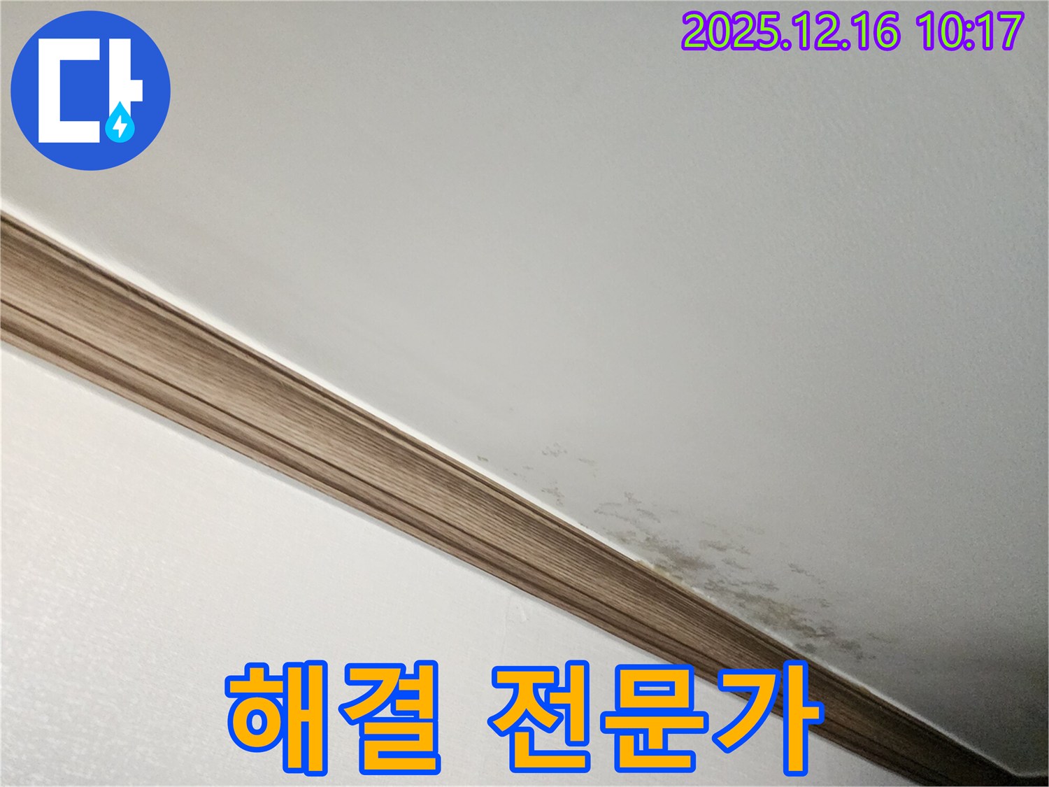 포천 곰팡이 핀 천장 - 영북면 누수 해결 전문가의 등장