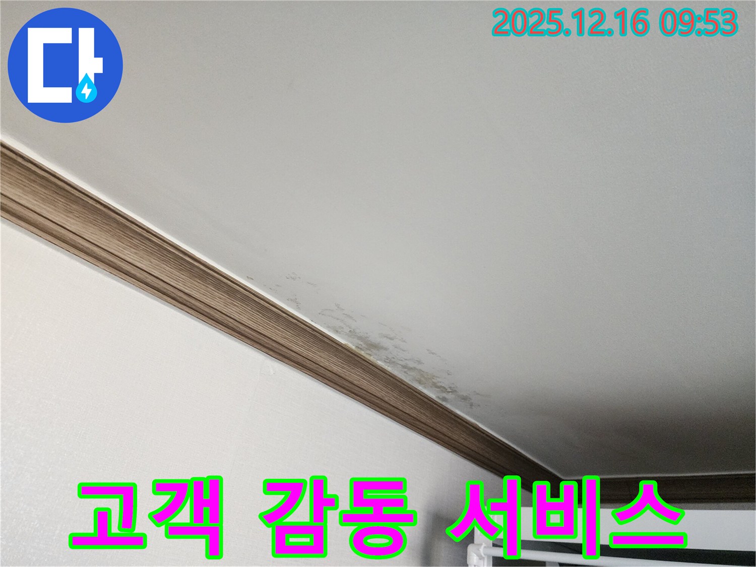 포천 누수 - 고객 감동을 위한 세심한 서비스, 곰팡이 천장 누수도 꼼꼼하게!
