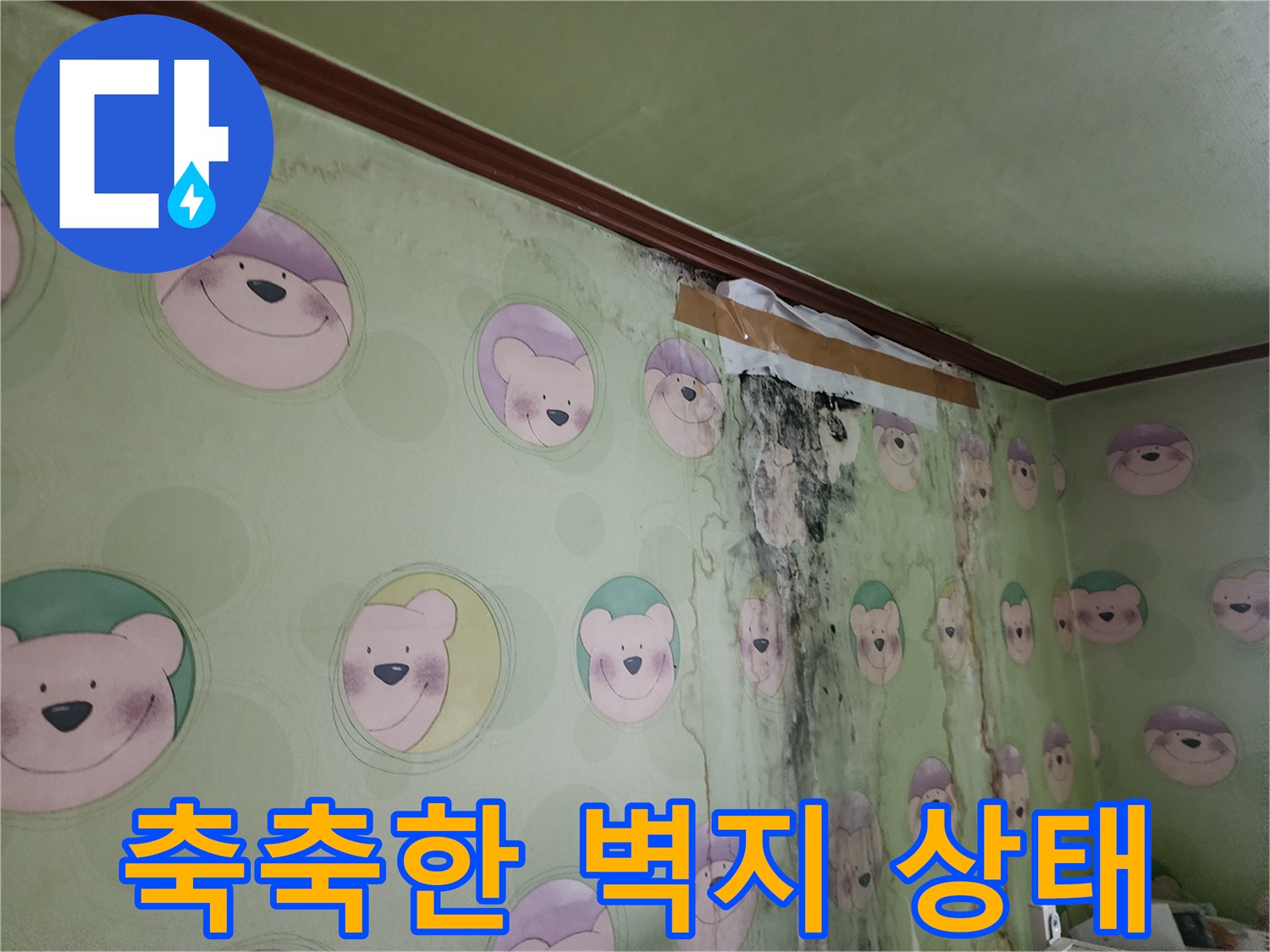 포천 영북면-물샘으로 오염된 캐릭터 벽지