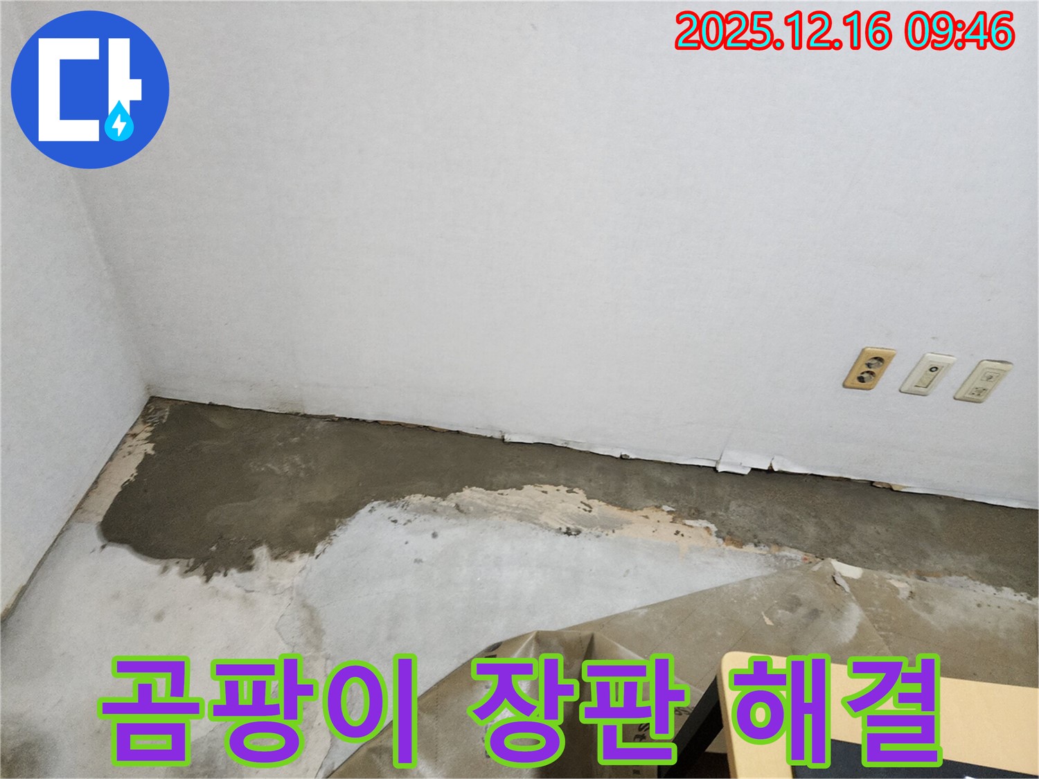 포천 영북면 운천리 - 곰팡이 핀 장판, 누수 해결로 쾌적한 공간으로 변신!