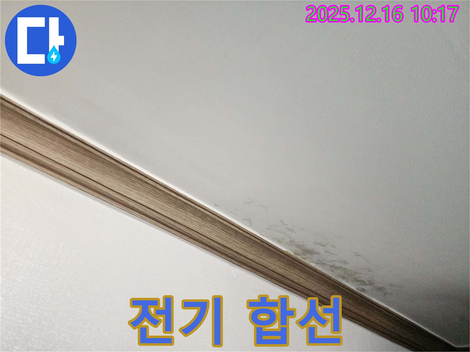 포천시 영북면 곰팡이 천장 - 누수, 전기 합선으로 이어질 수도?!
