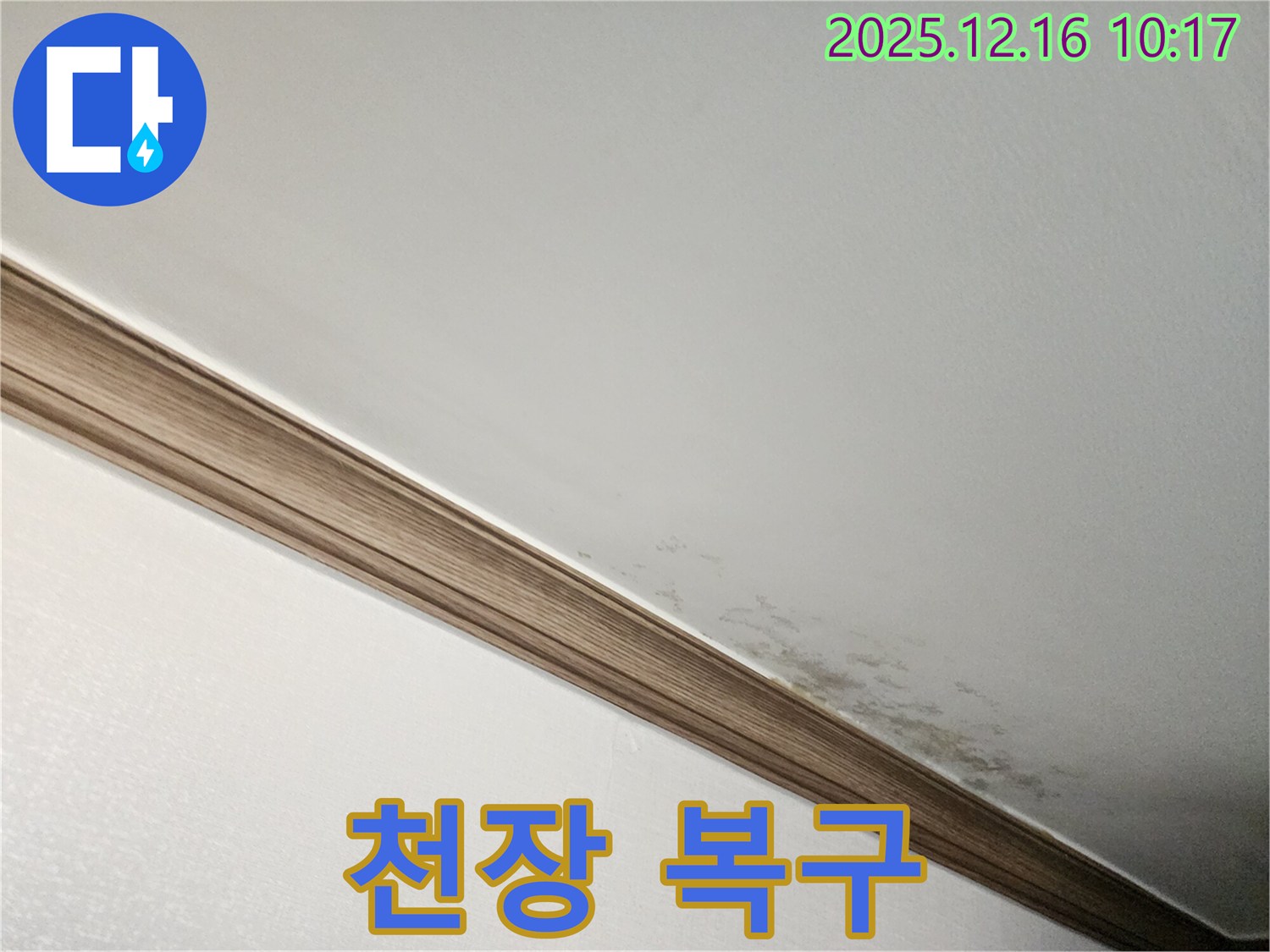 포천시 영북면 곰팡이 천장 복구 - 누수 해결과 천장 완벽 복구 과정
