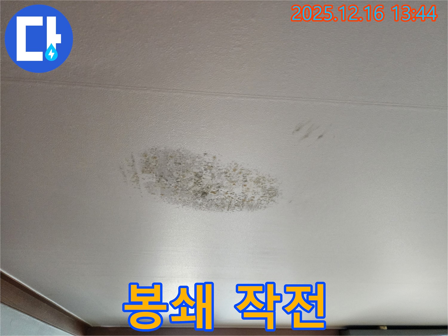 소홀리 누수 - 곰팡이 봉쇄 작전 - 안전 구역