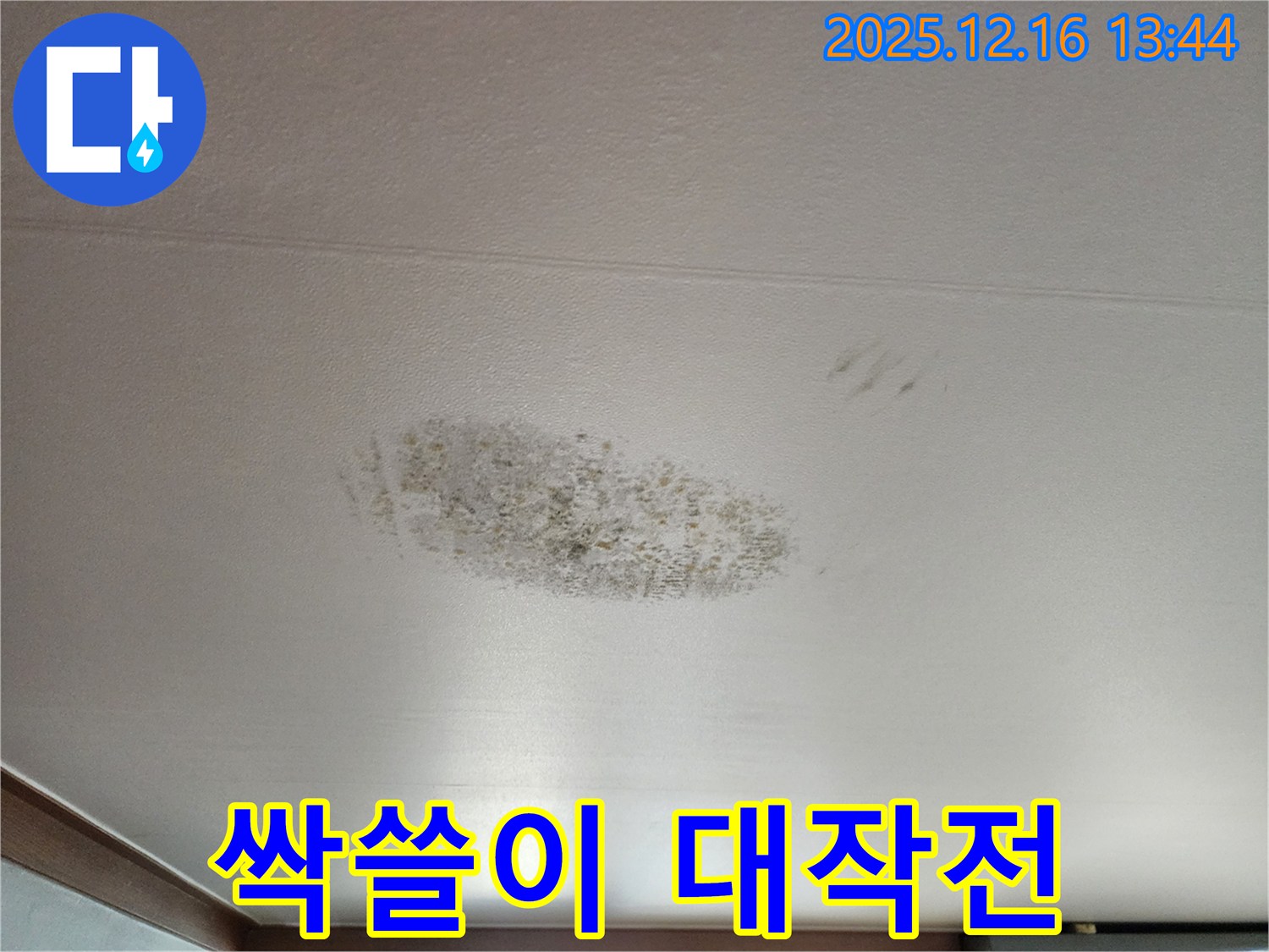 소홀리 누수 - 곰팡이 싹쓸이 대작전 - 완벽 변신