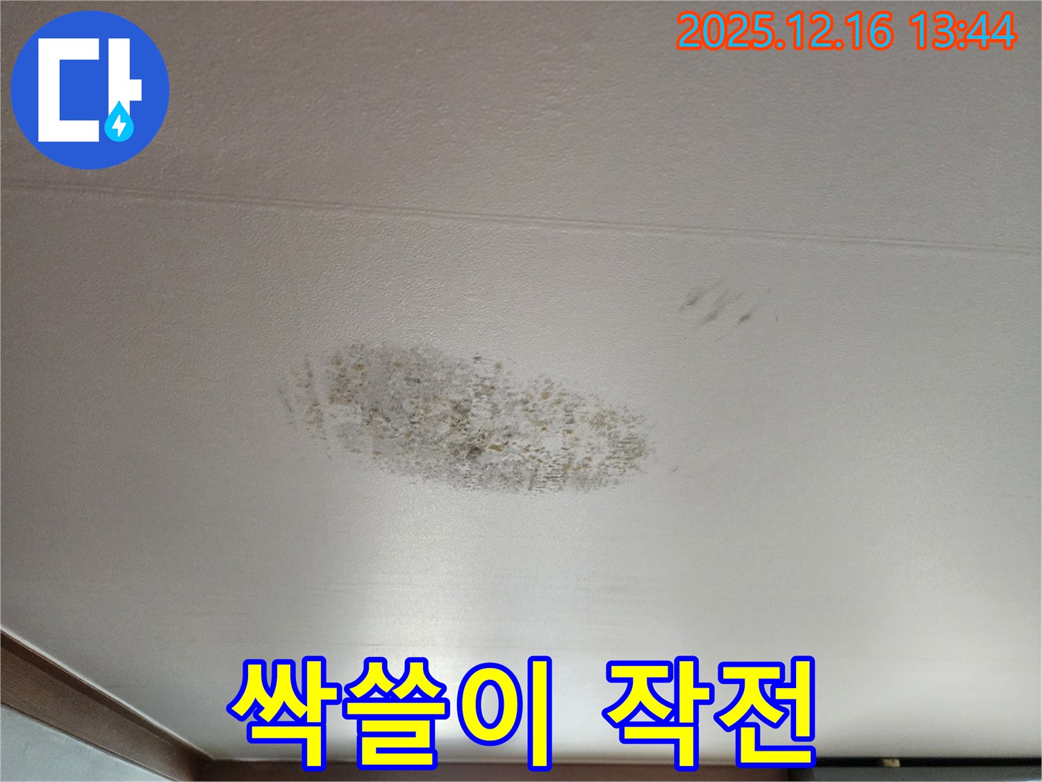 소홀리 누수 - 곰팡이 싹쓸이 작전 개시