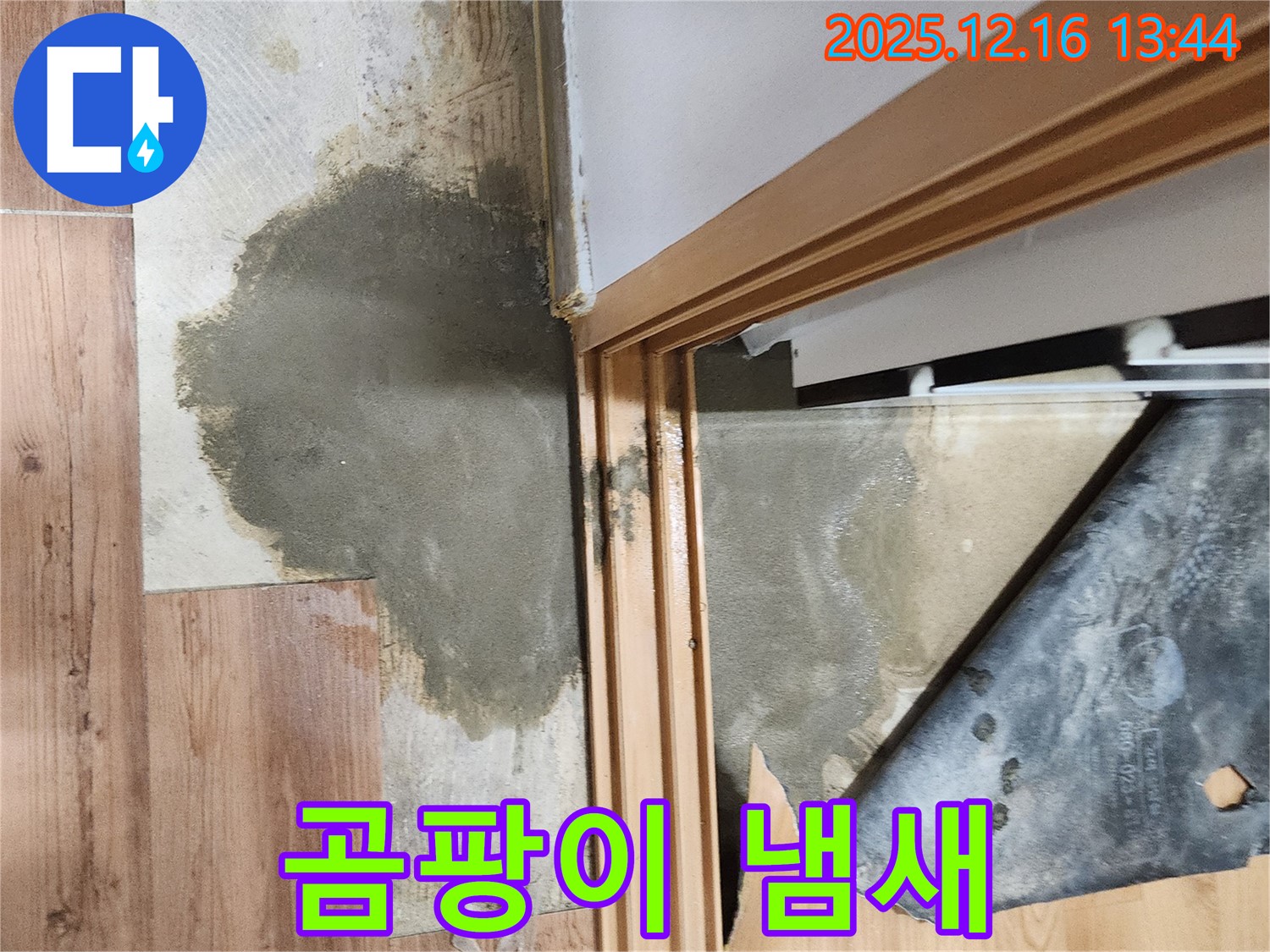 소홀리 누수 - 장판 곰팡이 냄새, 온 가족 호흡기 건강에 적신호