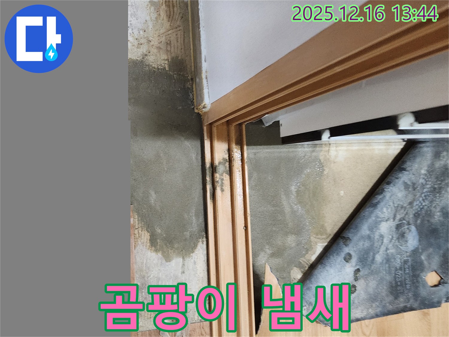 소홀리 누수 - 장판 곰팡이 냄새, 호흡기 건강에 적신호