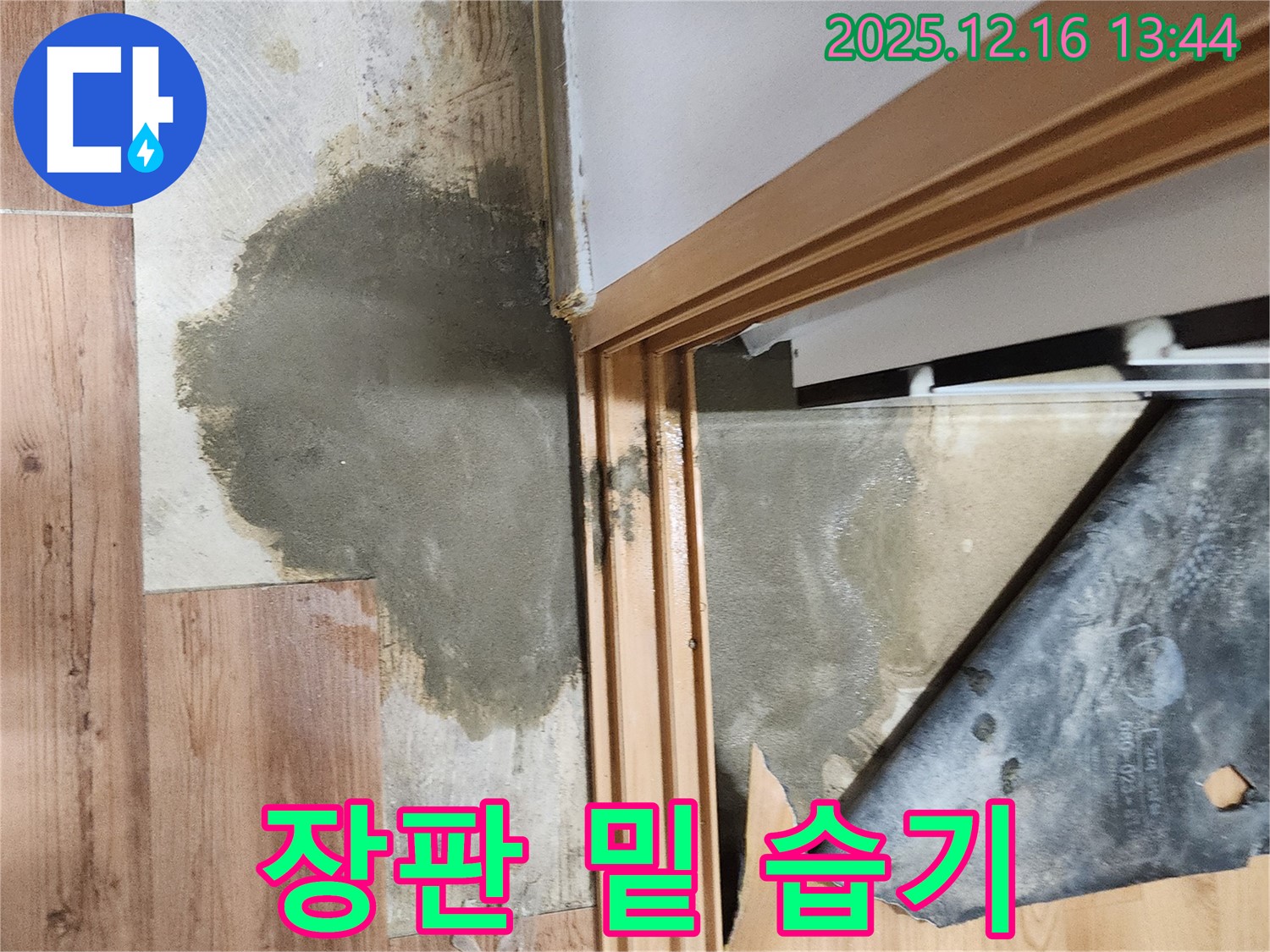 소홀리 누수 - 장판 밑 습기, 쾌적한 환경 되찾기