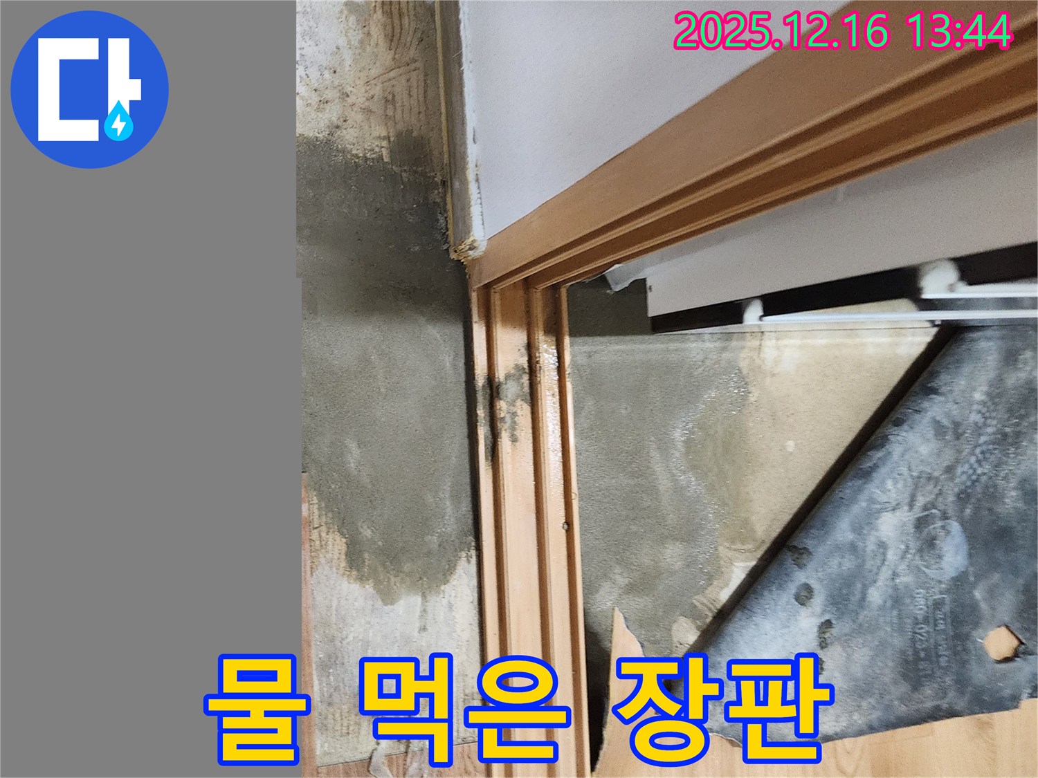 소홀리 누수 - 장판 밟을 때 푹푹, 물 먹은 장판