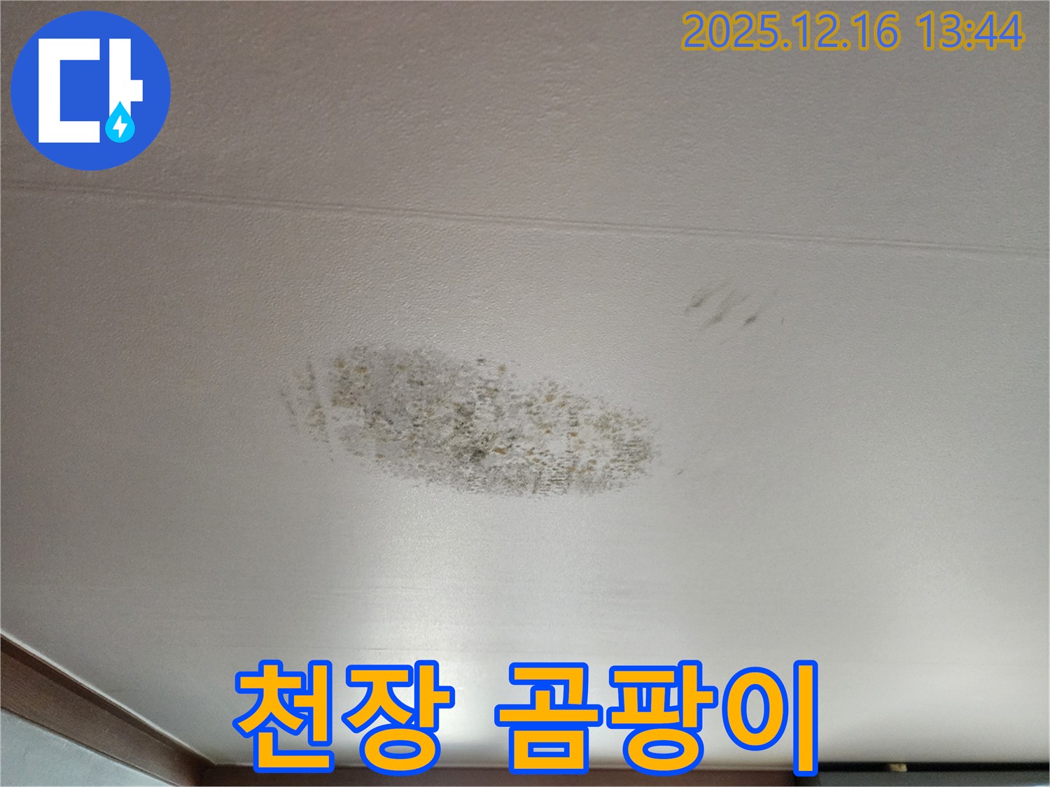 소홀리 천장 누수 - 곰팡이 발생 초기 단계