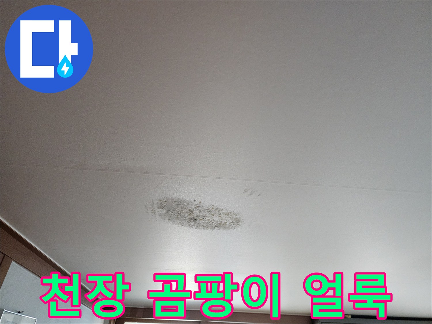 천장 벽지에 발생한 검은색 곰팡이와 습기 흔적