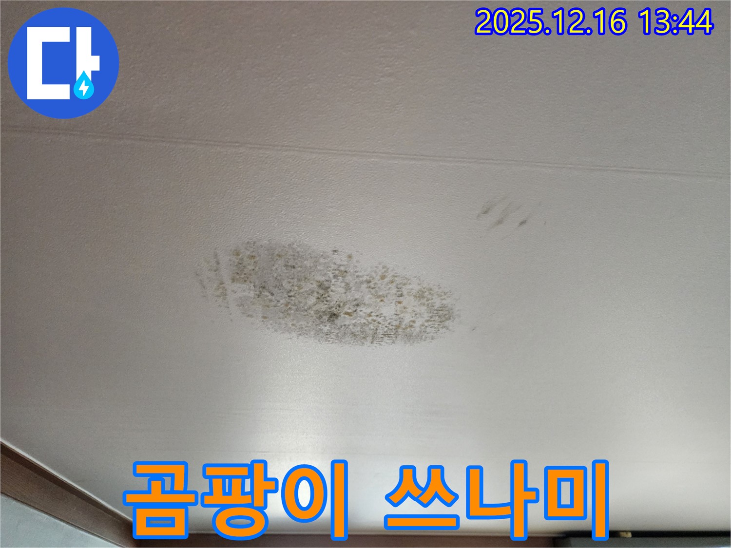 포천 소홀리 누수 - 곰팡이 쓰나미 - 쾌적한 공간