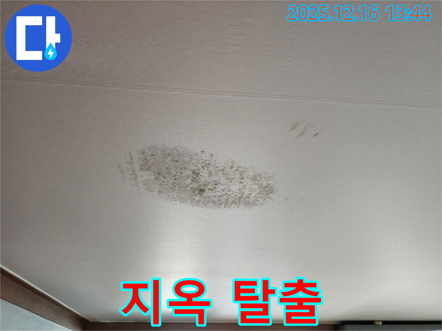 포천 소홀리 누수 - 곰팡이 지옥 탈출 - 쾌적한 천국