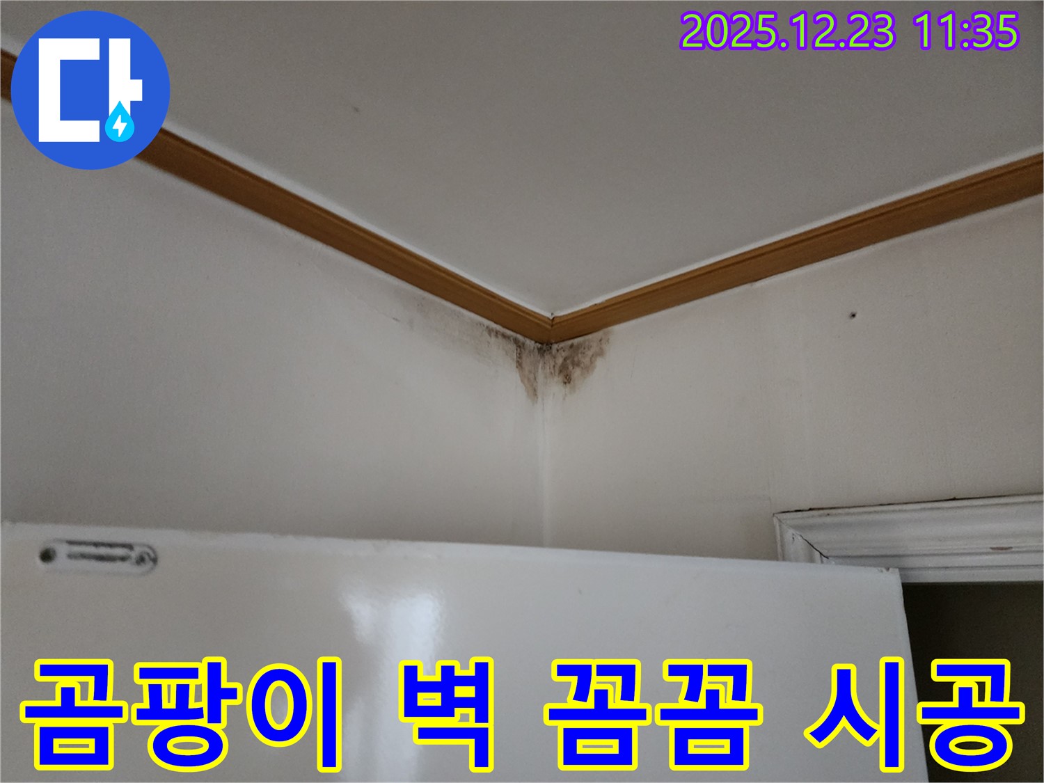 양주시 고암동 곰팡이 핀 벽 - 꼼꼼한 누수 점검과 확실한 시공 과정