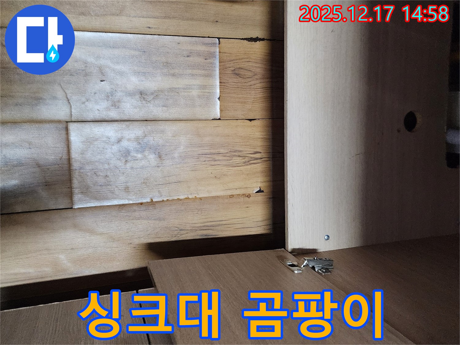 싱크대 곰팡이 - 누수로 인해 발생한 싱크대 하부 곰팡이