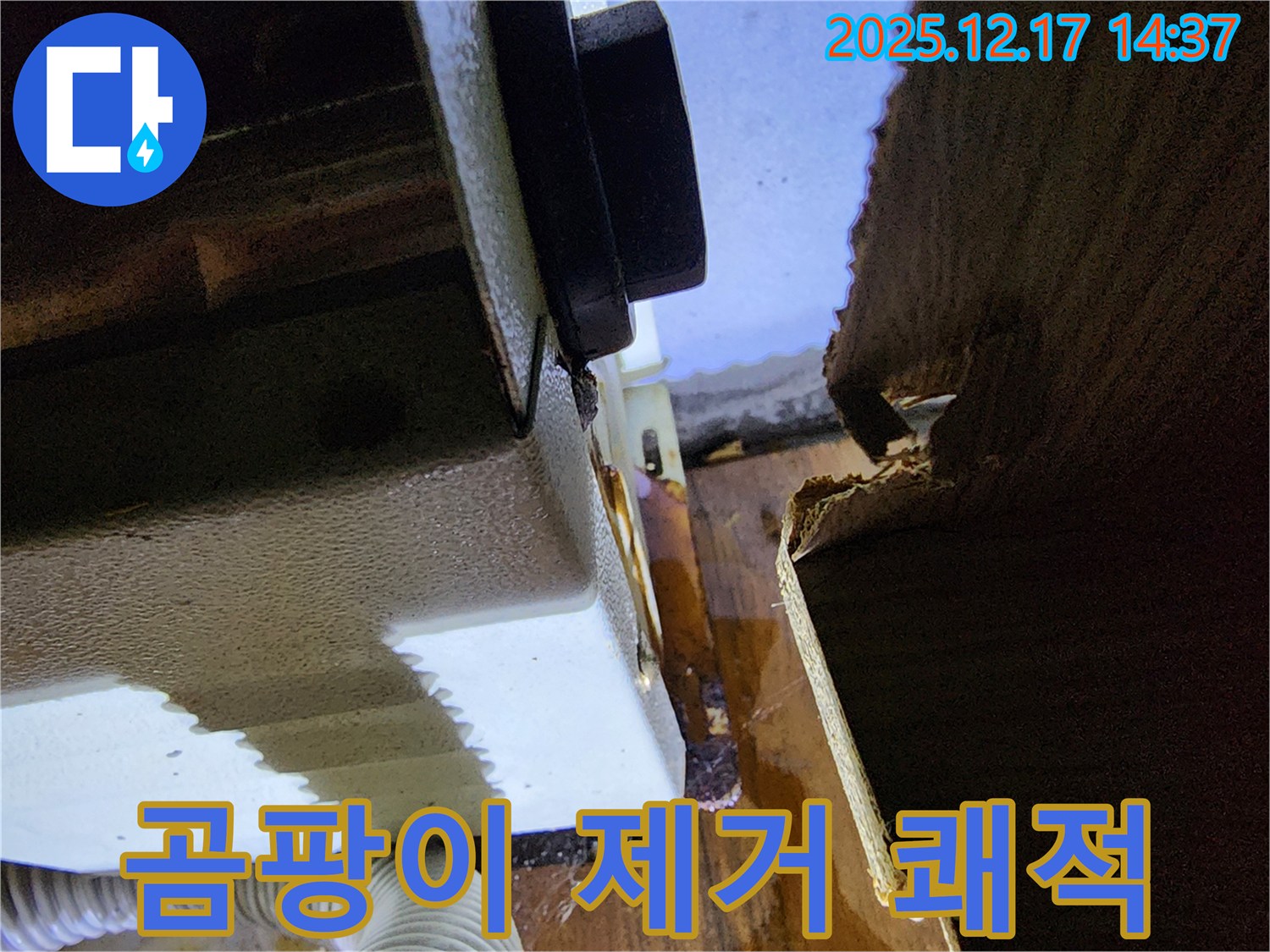 싱크대 하부 곰팡이 제거 - 쾌적한 주방으로!