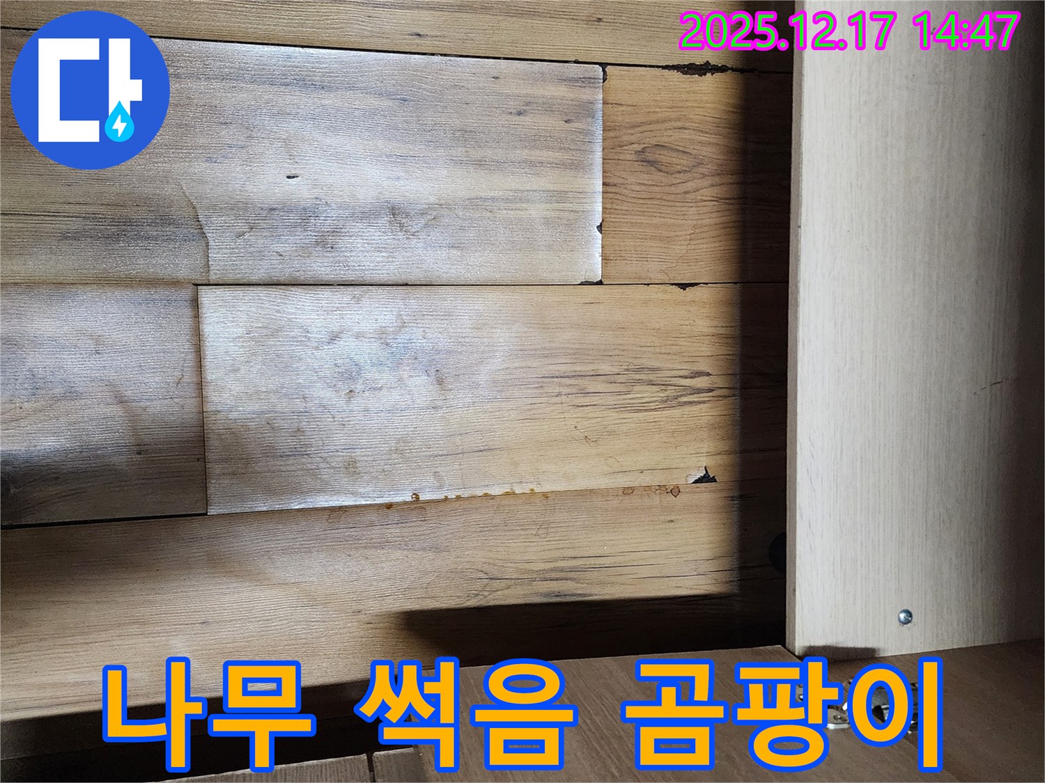 싱크대 하부 나무 썩음 - 곰팡이 문제 심각