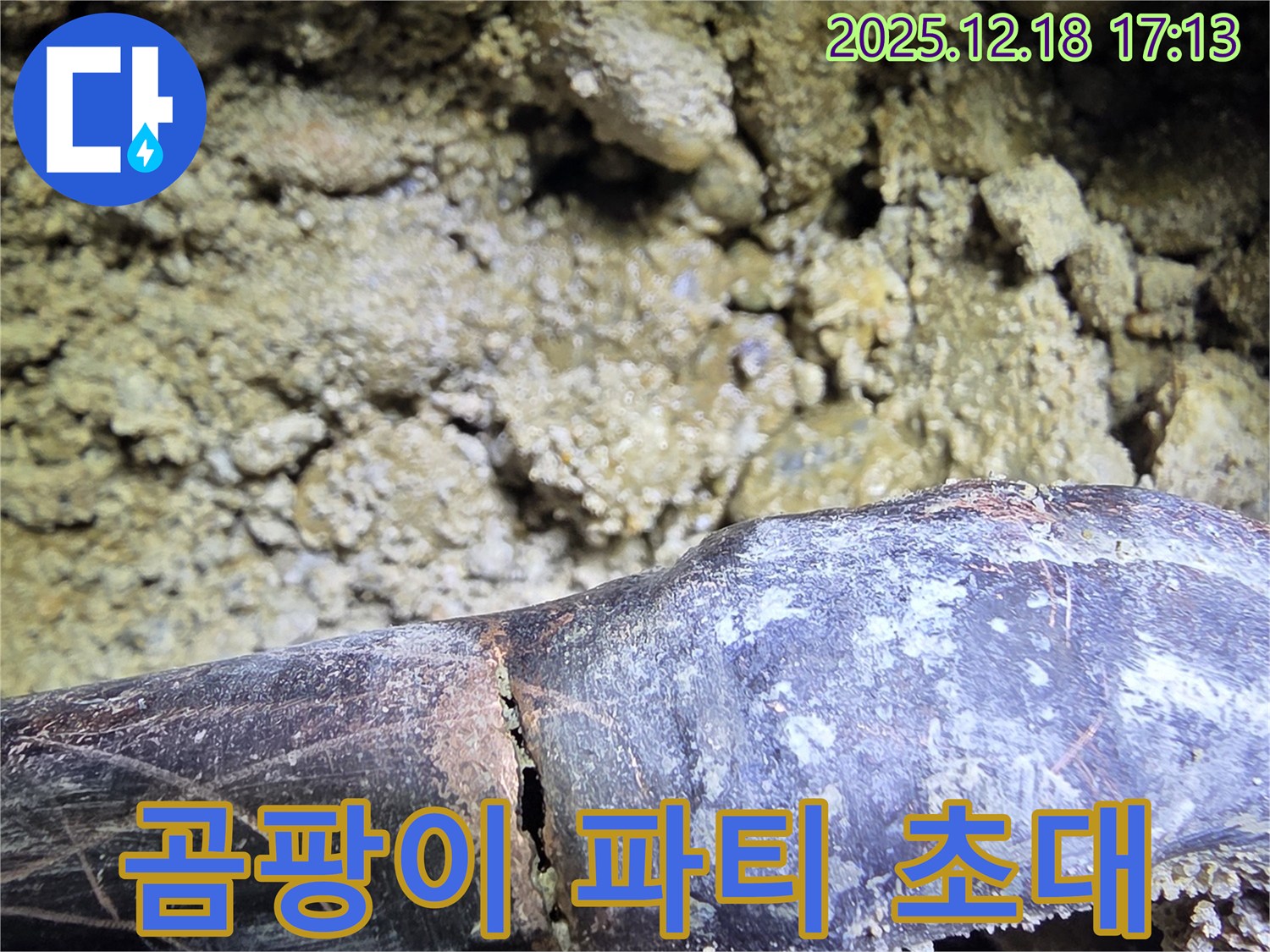 곰팡이 파티 초대장 - 시흥 신천동 누수탐지 전문