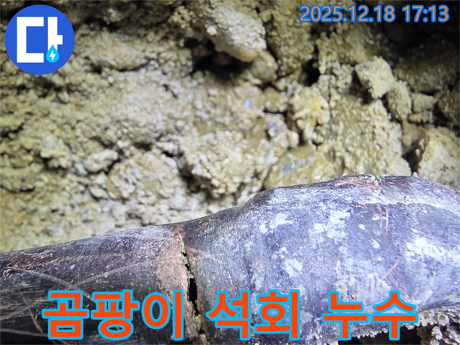 곰팡이와 석회의 콜라보 - 시흥 신천동 누수탐지 전문