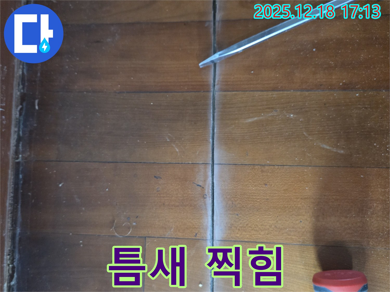 마루 틈새 찍힘 - 틈새 주변에 찍힌 자국