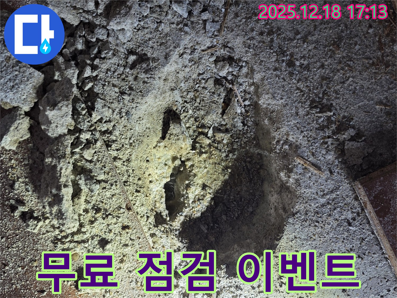 무료 점검 - 기회