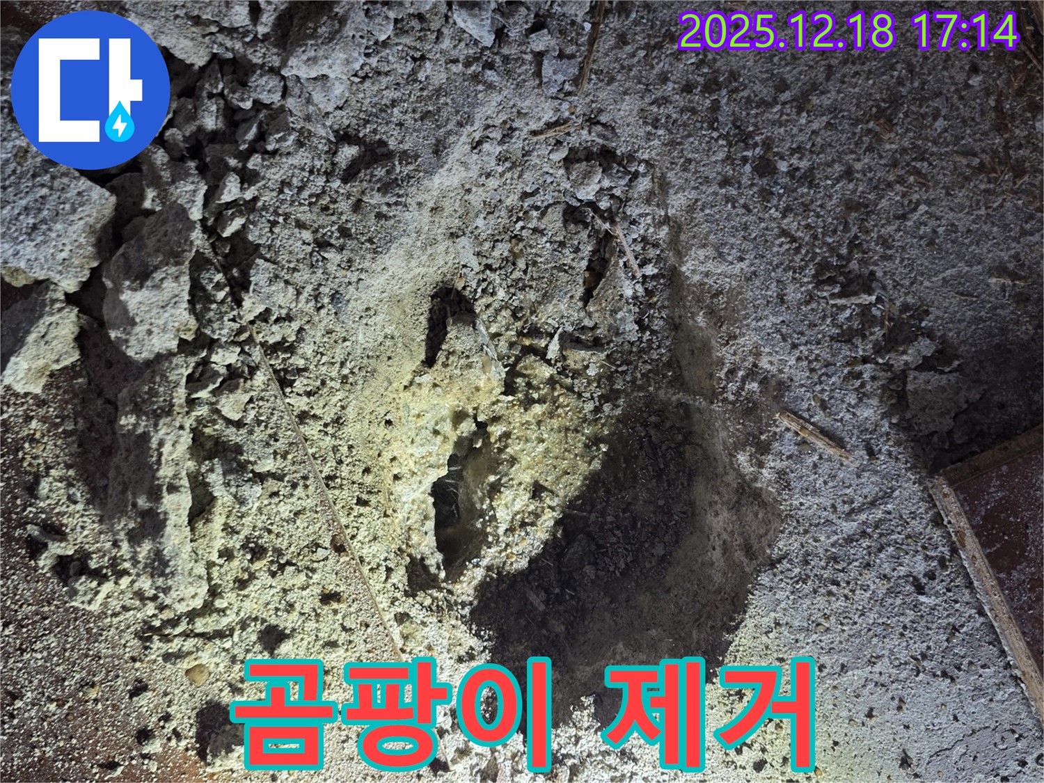 시흥 누수 - 곰팡이 핀 석고보드 제거 작업