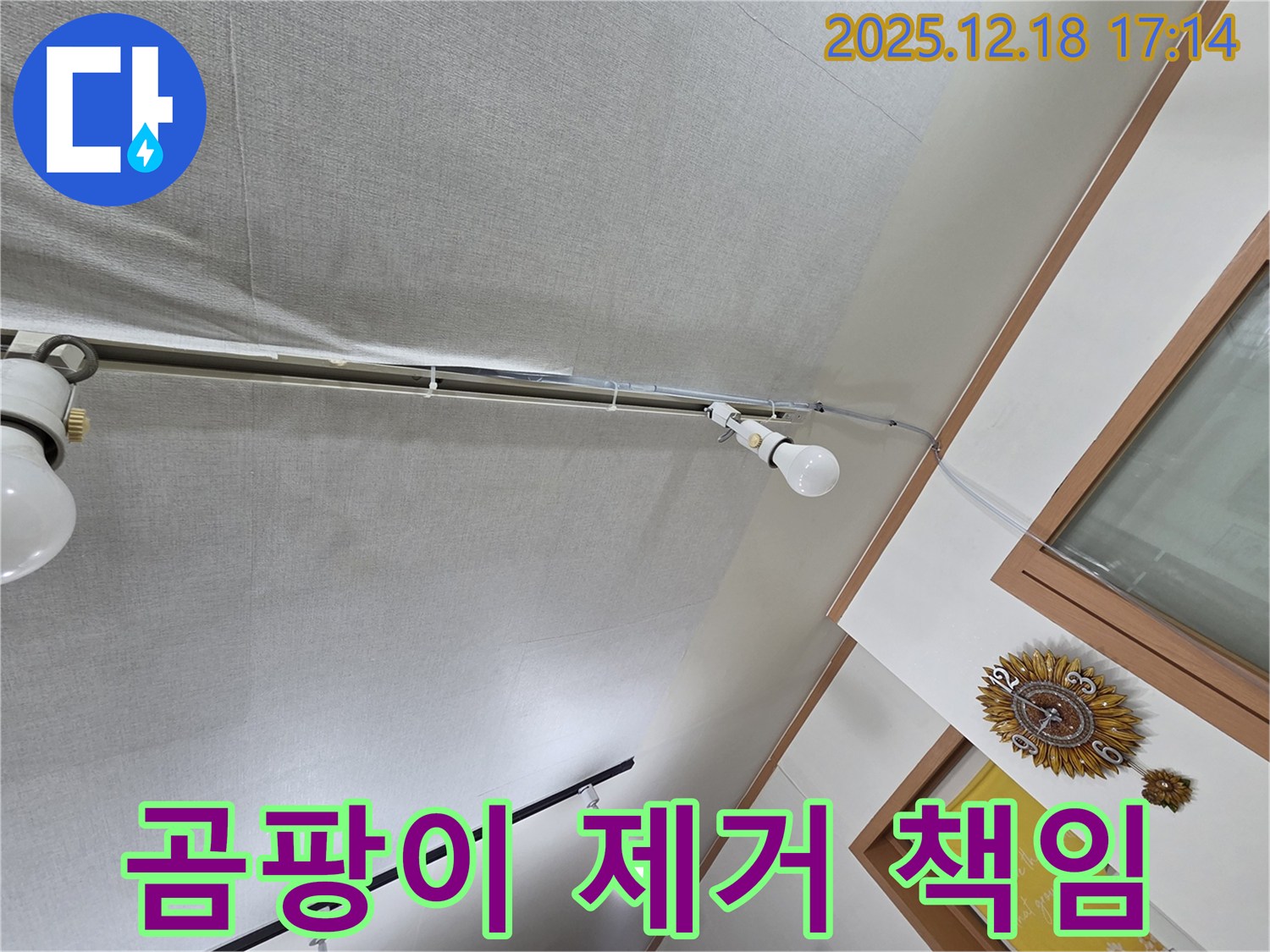 시흥 신천동 누수 - 천장 누수, 곰팡이 완벽 제거 책임 시공