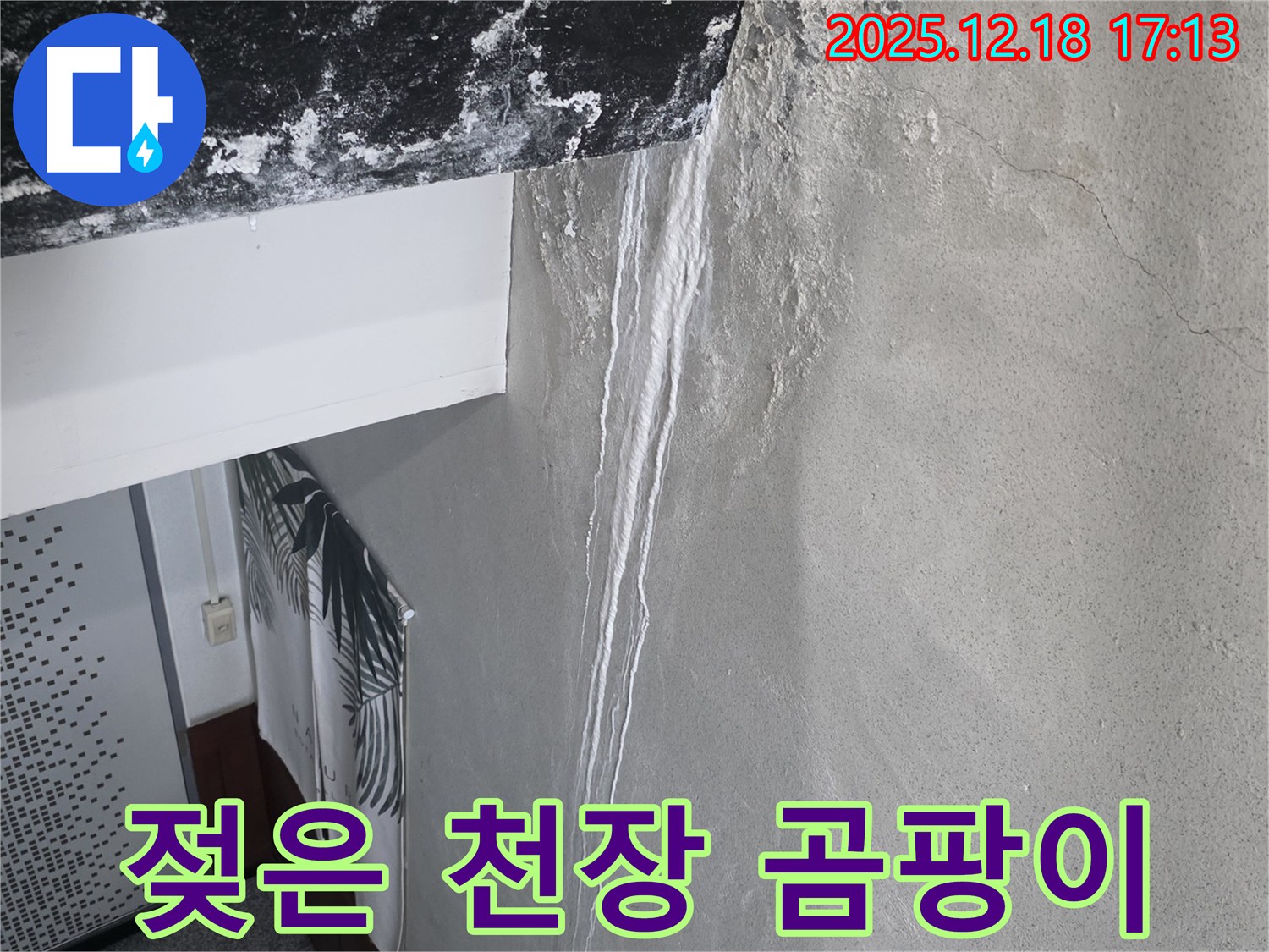 신천동 누수 - 젖은 천장과 곰팡이 - 건강에 해로운 환경