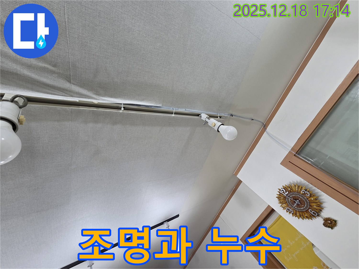 신천동 누수 - 천장 조명과 누수의 연관성 분석