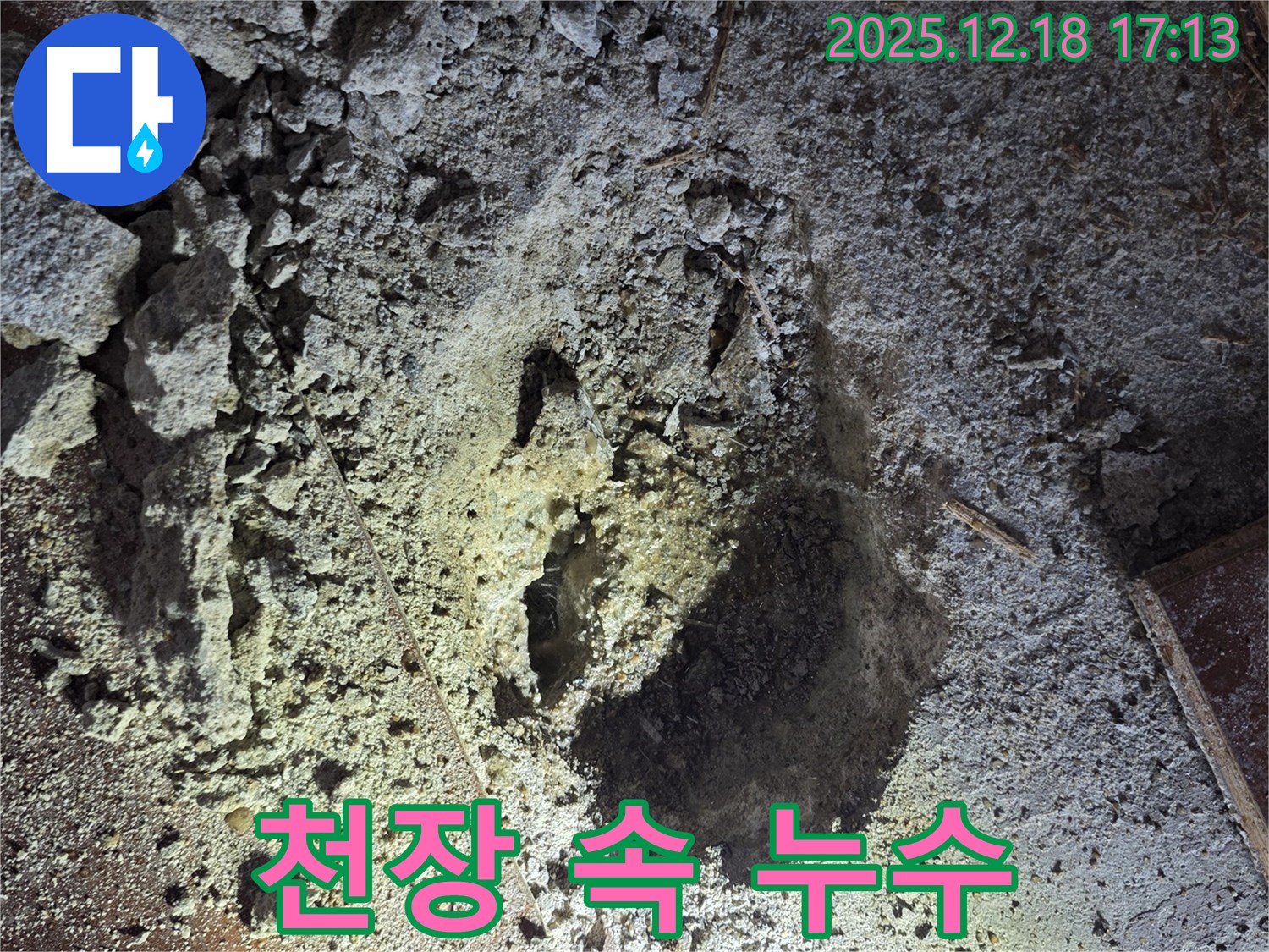 천장 속 누수 - 숨겨진 적