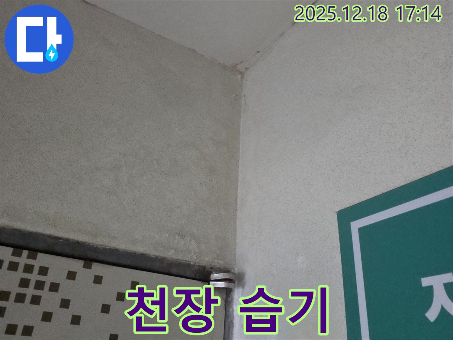 천장 습기 - 누수 가능성 - 전문 업체 진단