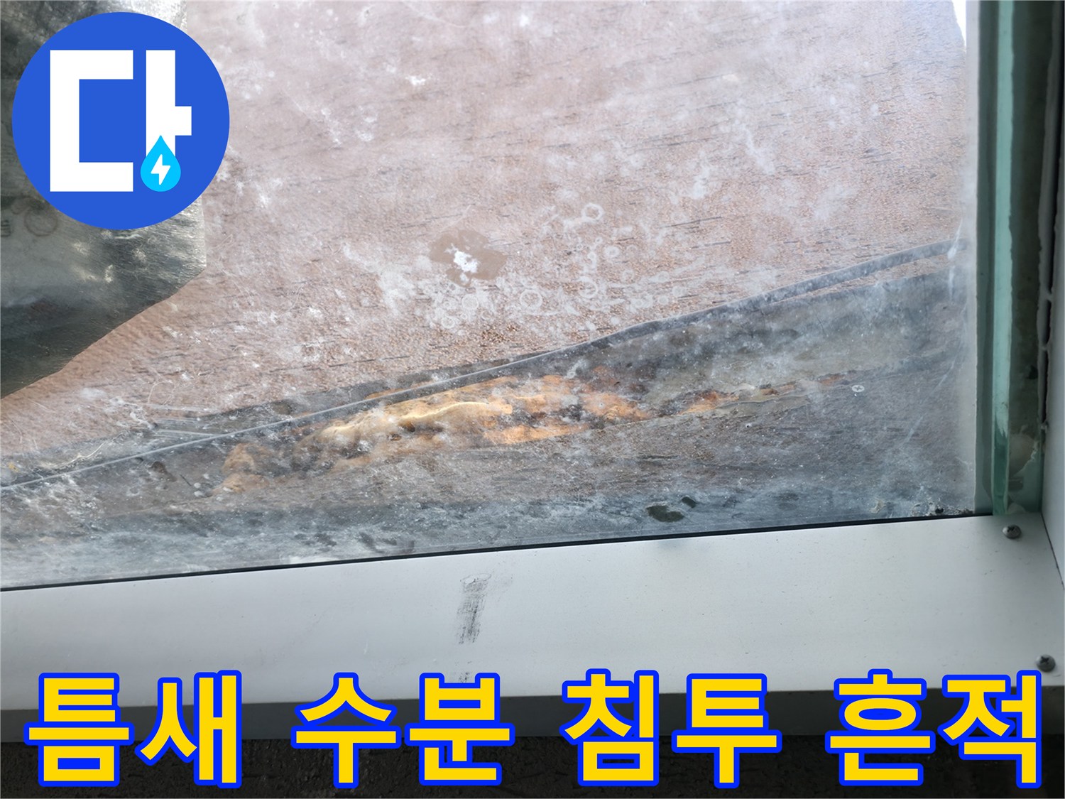 바닥 틈새-물샘으로 인한 변색 부위