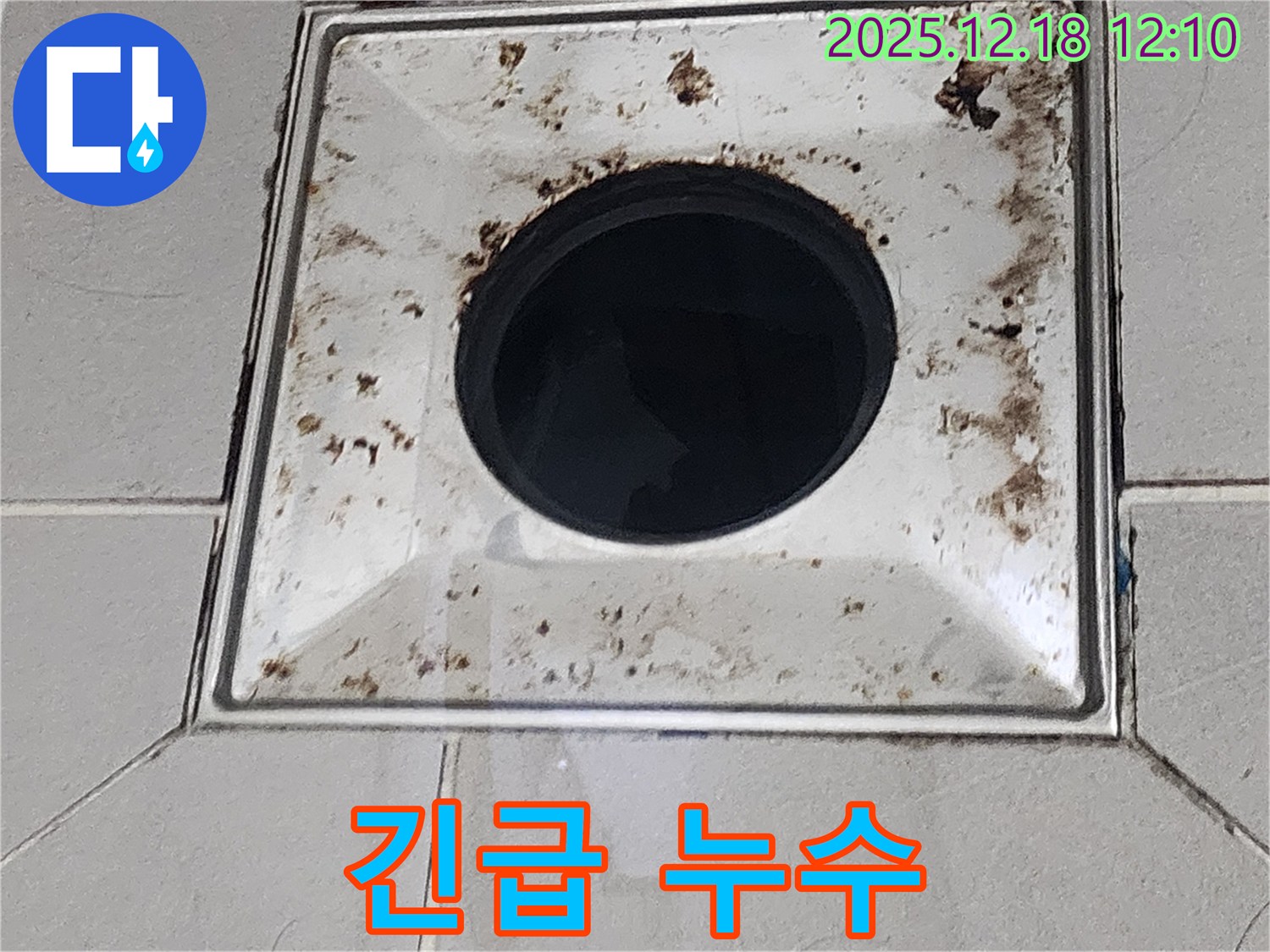 갑작스러운 욕실 배수구 누수 긴급 복구 - 가채리 누수