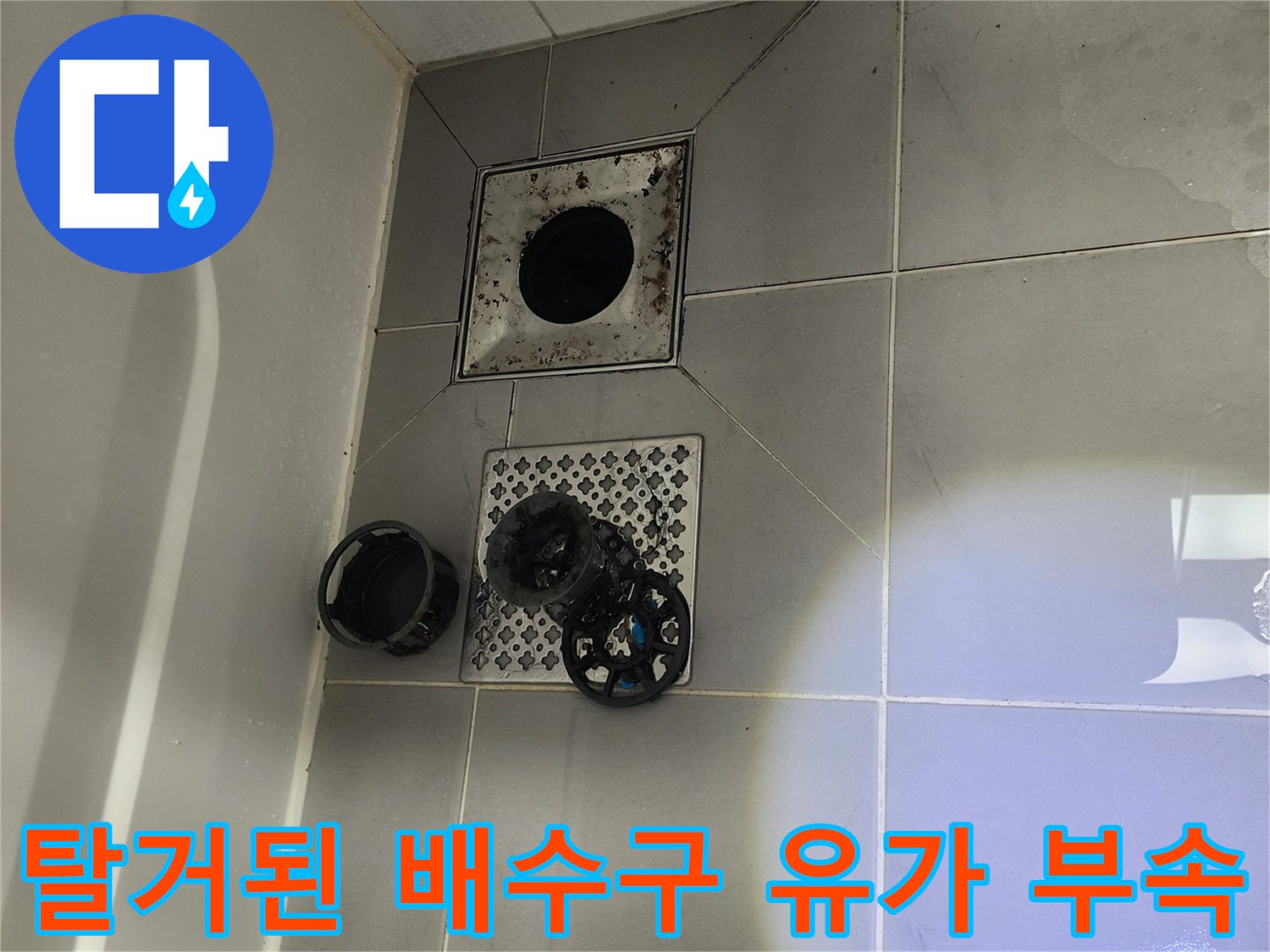 분리된-배수구-트랩과-유가-주변-바닥-상태