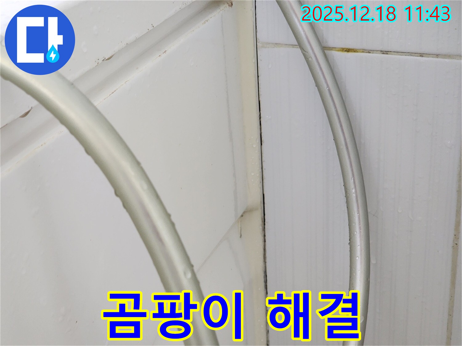 영북면 가채리 샤워기 누수 - 꽉 조여서 곰팡이 걱정 없이!