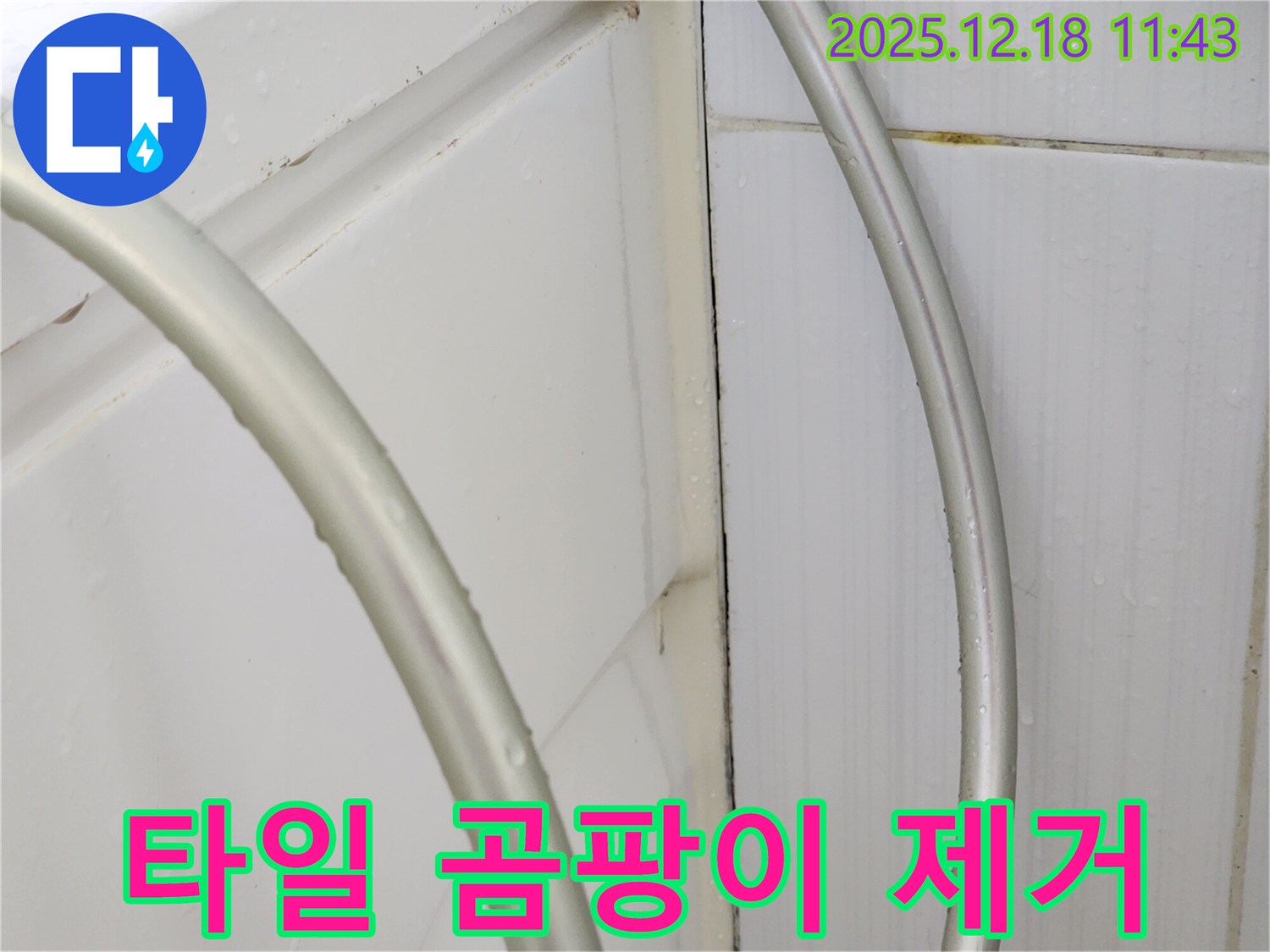 포천 영북면 가채리 타일 곰팡이 제거 - 실리콘 재시공으로 누수 해결