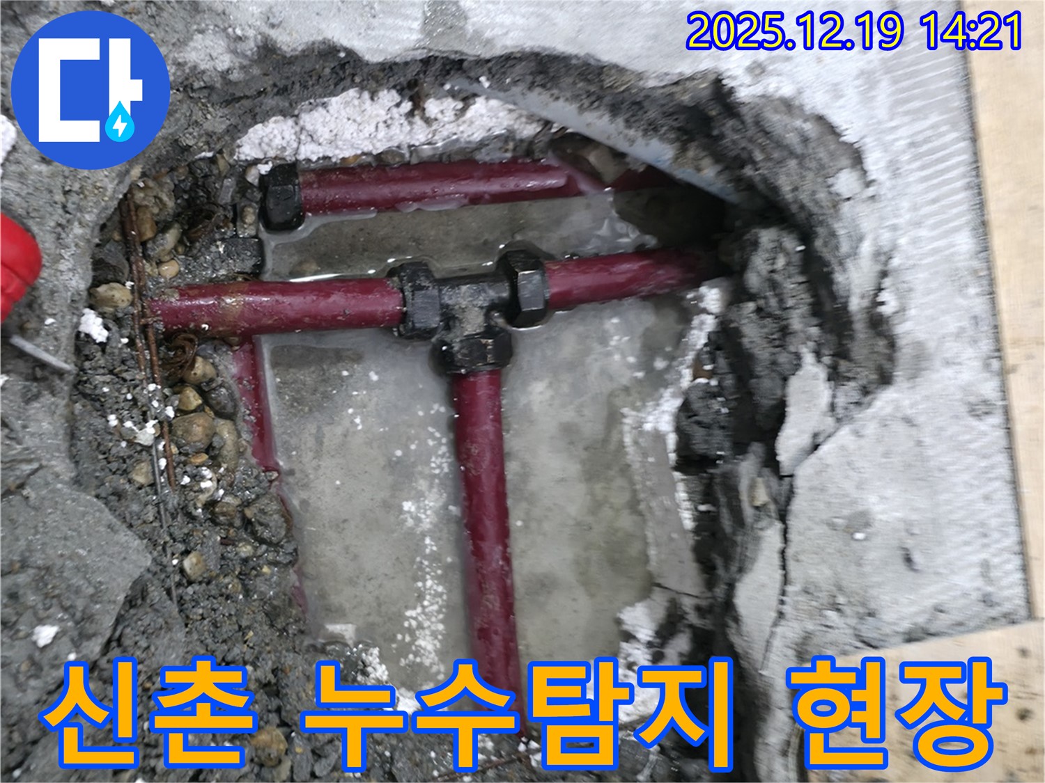 서대문구 창천동 연세힐하우스에서 발생한 누수 - 전문 장비와 기술력으로 정확하게 누수 지점을 탐지하고 해결합니다.