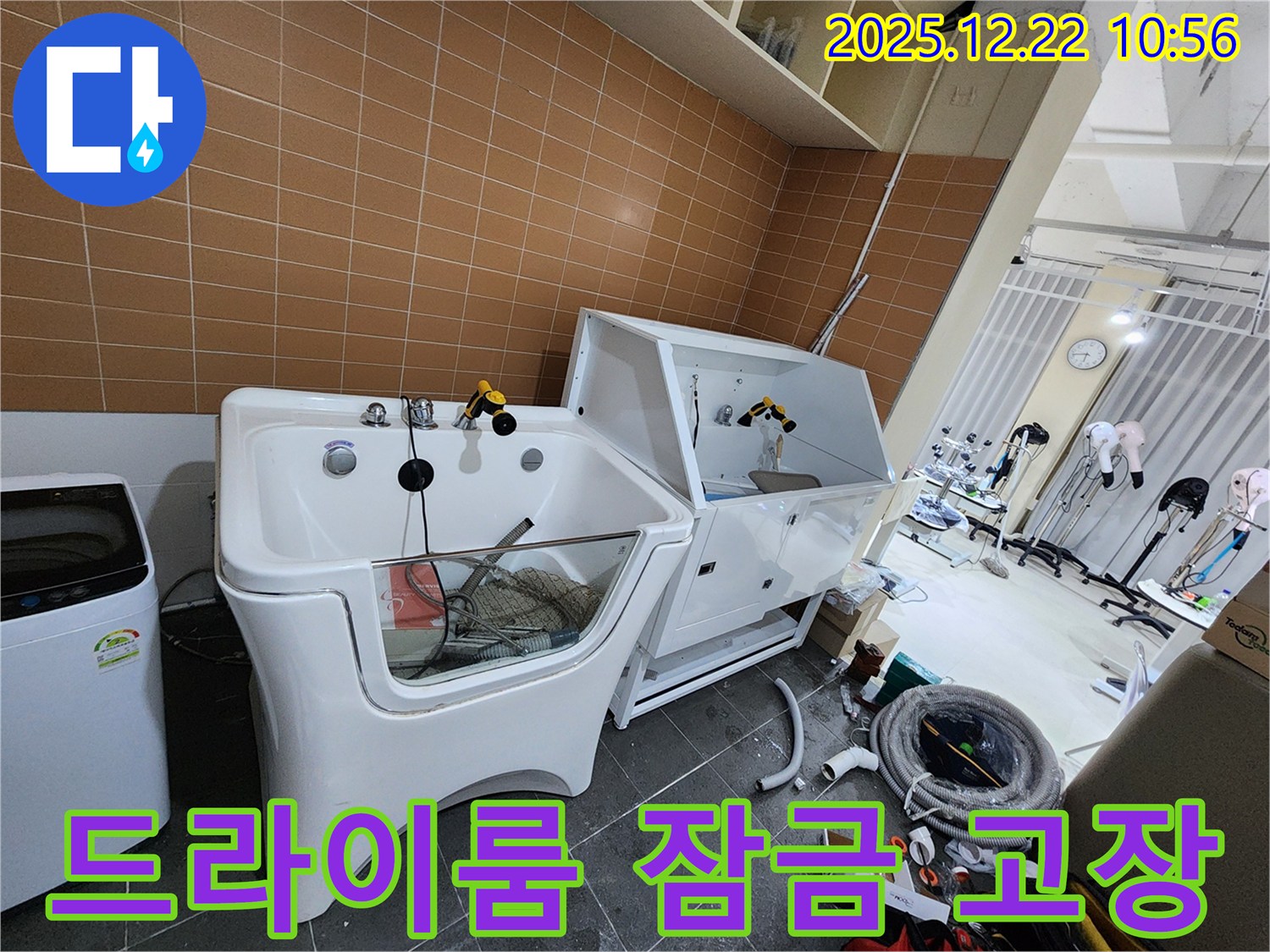 월계동 애견샵 드라이룸 잠금 장치 고장 - 안전하게 수리 완료!