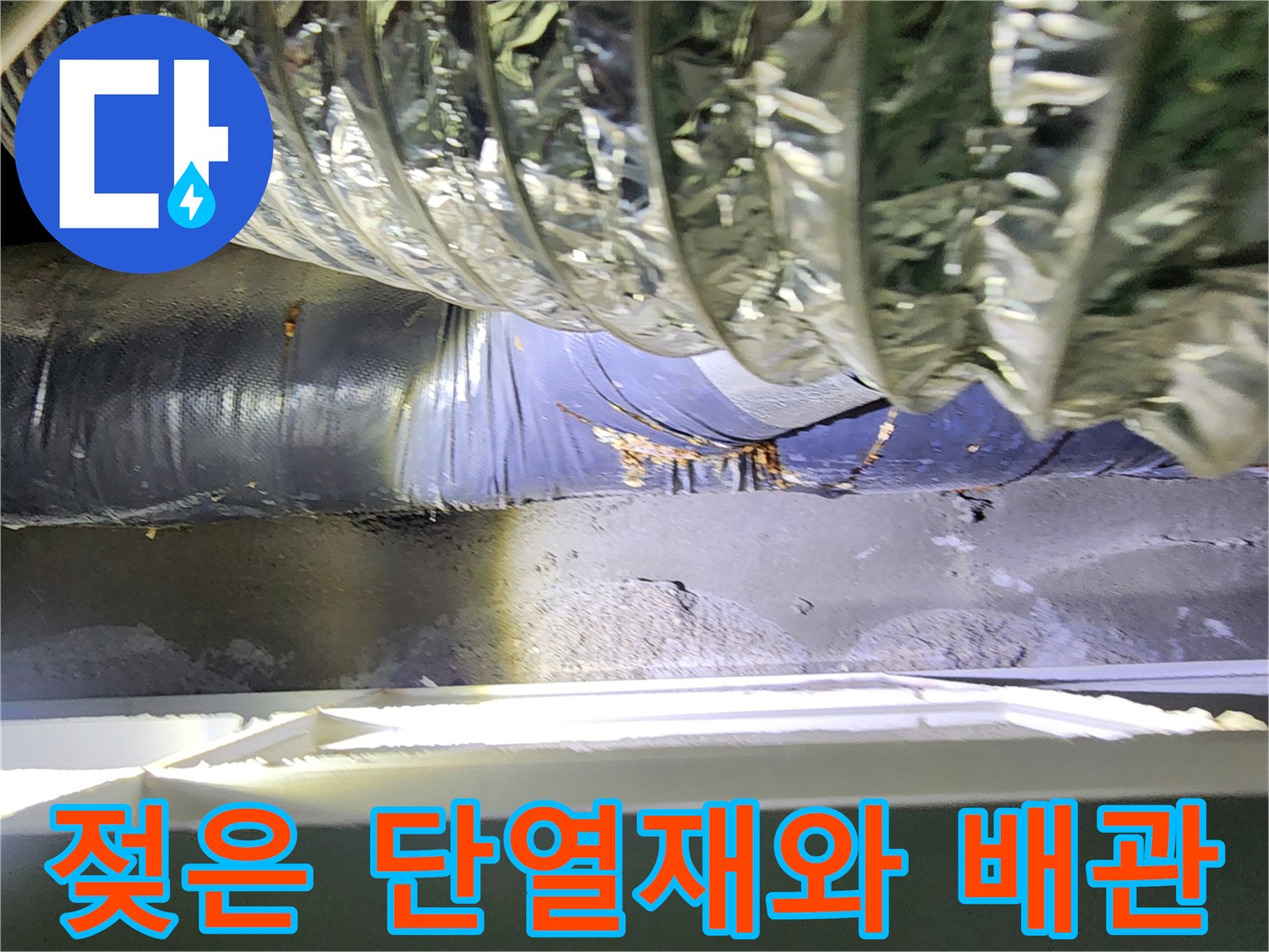 천장-배관-주변의-축축한-단열재-모습