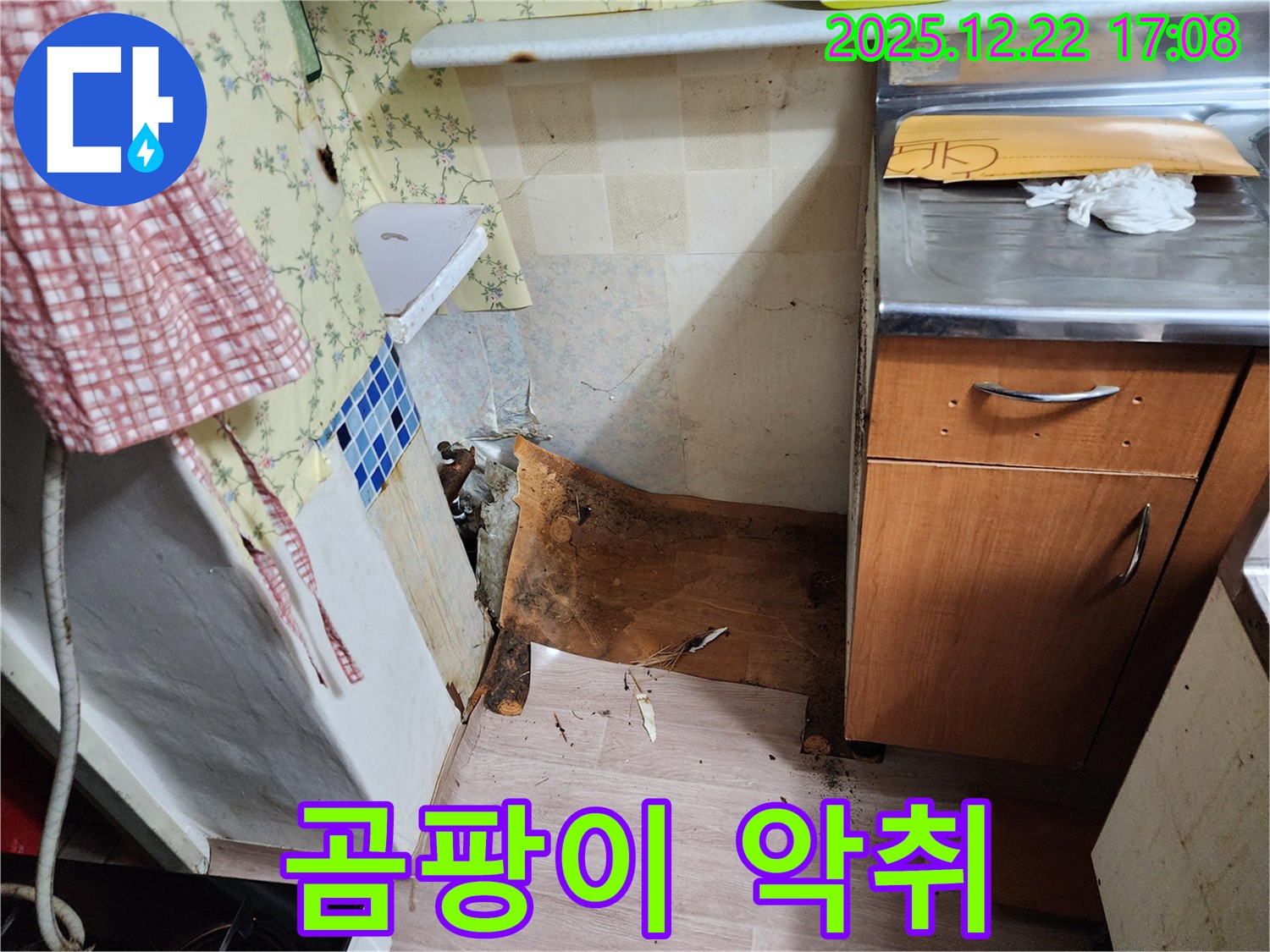 동두천 생연2동 주택 누수 - 곰팡이와 악취 발생 - 누수 원인 제거와 곰팡이, 악취 완벽 제거!