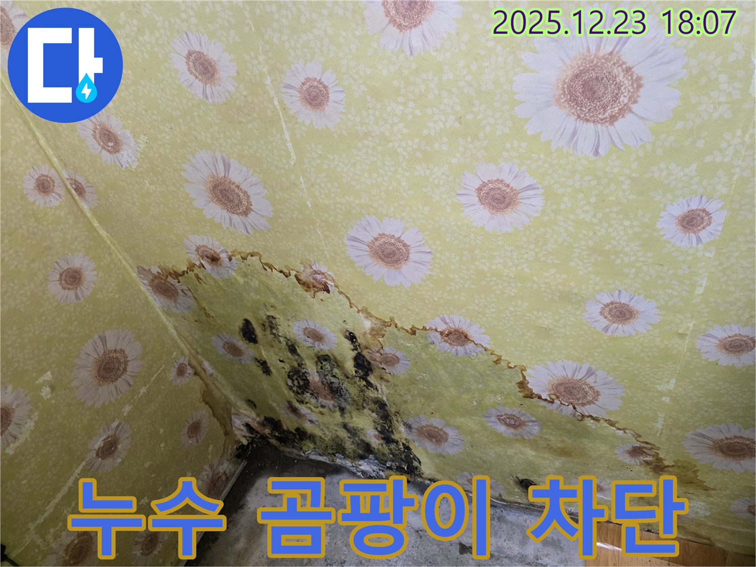 동두천 생연동 누수 곰팡이 차단 - 완벽한 시공으로 누수 걱정 없이 쾌적한 환경 유지.