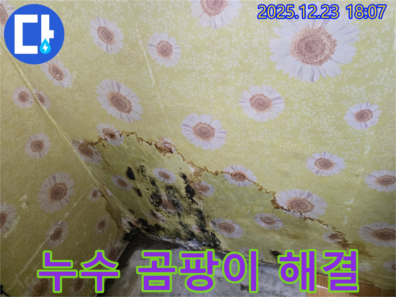 동두천 생연동 누수 곰팡이 해결 - 전문적인 기술로 누수 문제 완벽하게 해결.