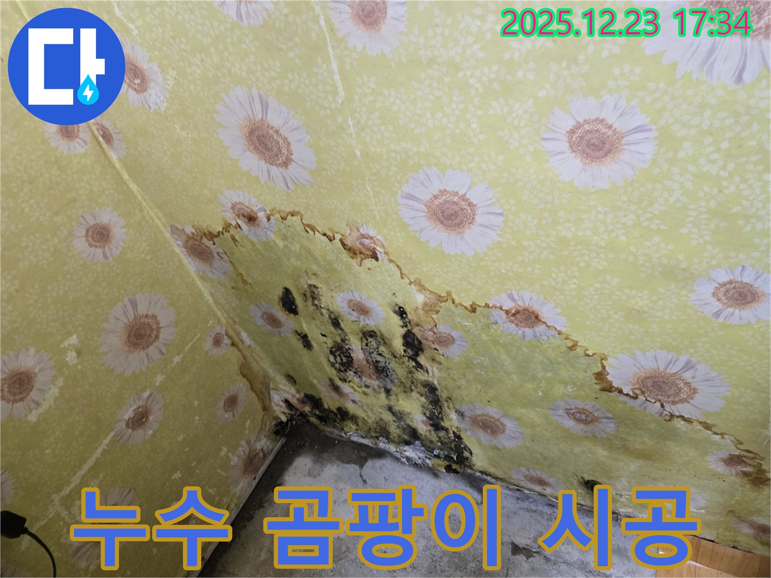 동두천 생연동 누수 및 곰팡이 시공 - 완벽한 시공으로 고민 해결