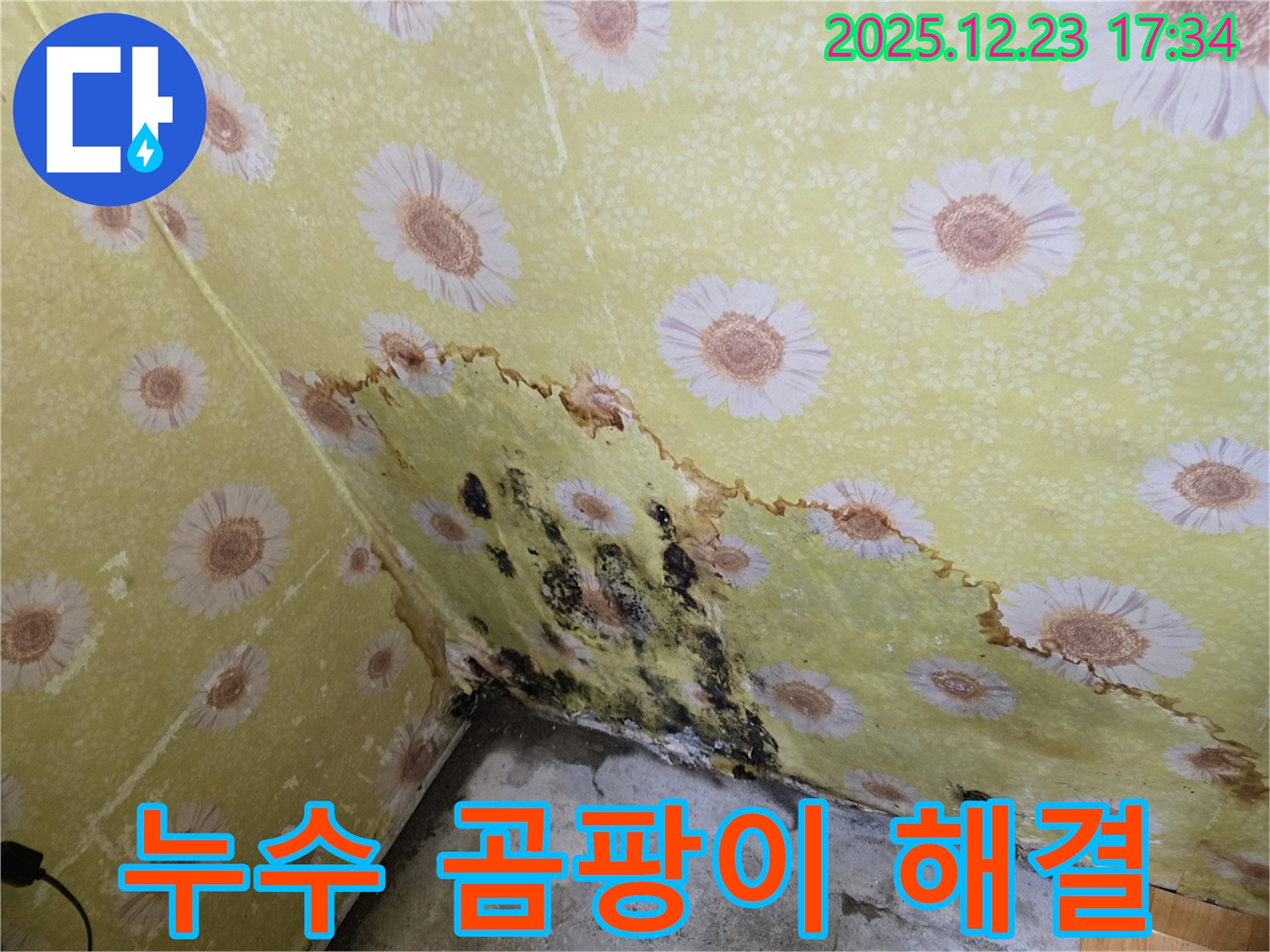 동두천 생연동 누수 및 곰팡이 해결 - 완벽한 시공으로 고민 해결